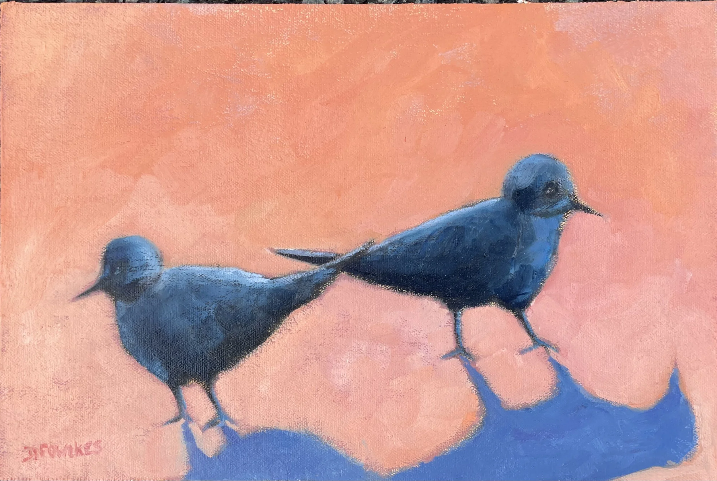 Two Black Birds