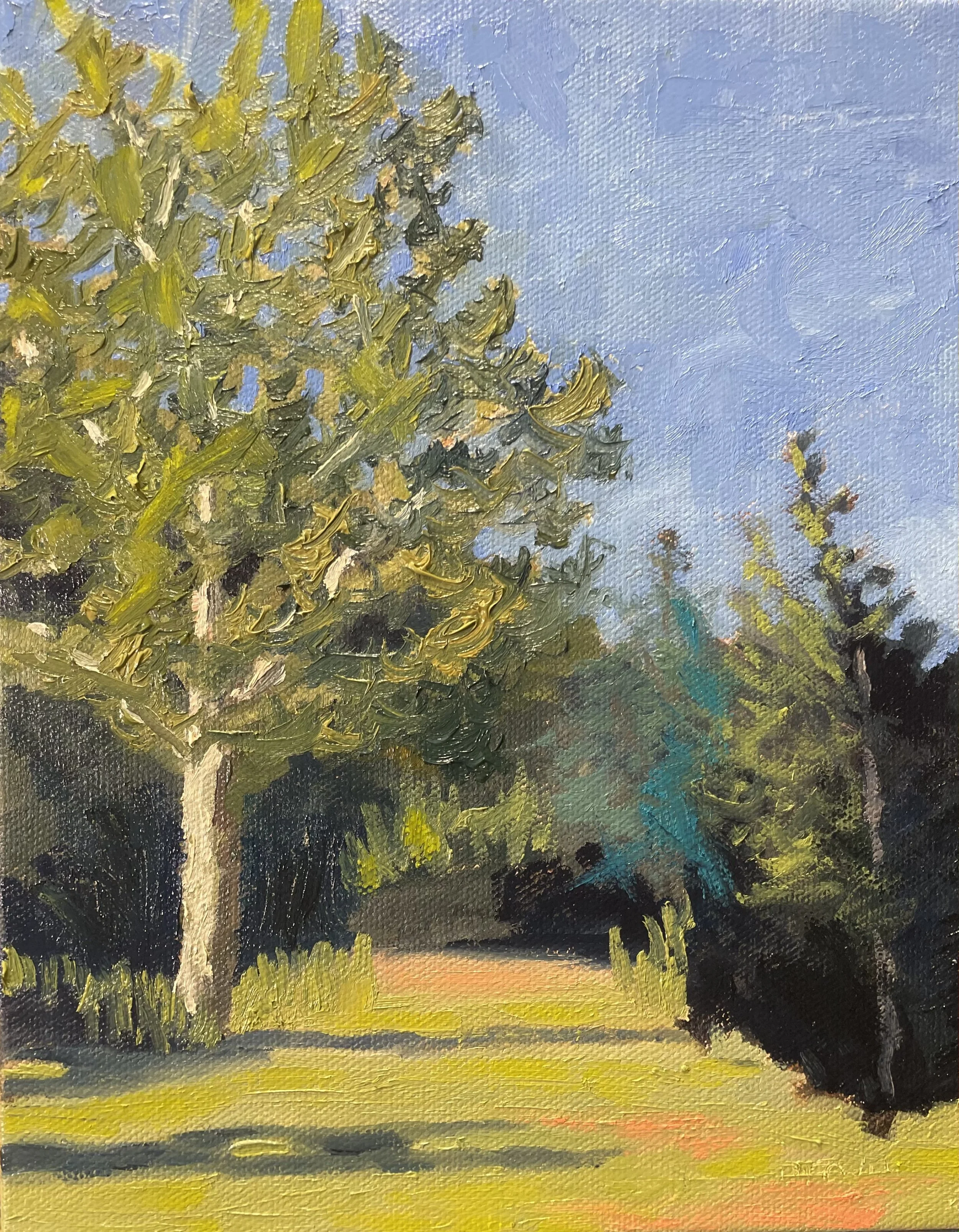 Maxwelton Sycamore - $395