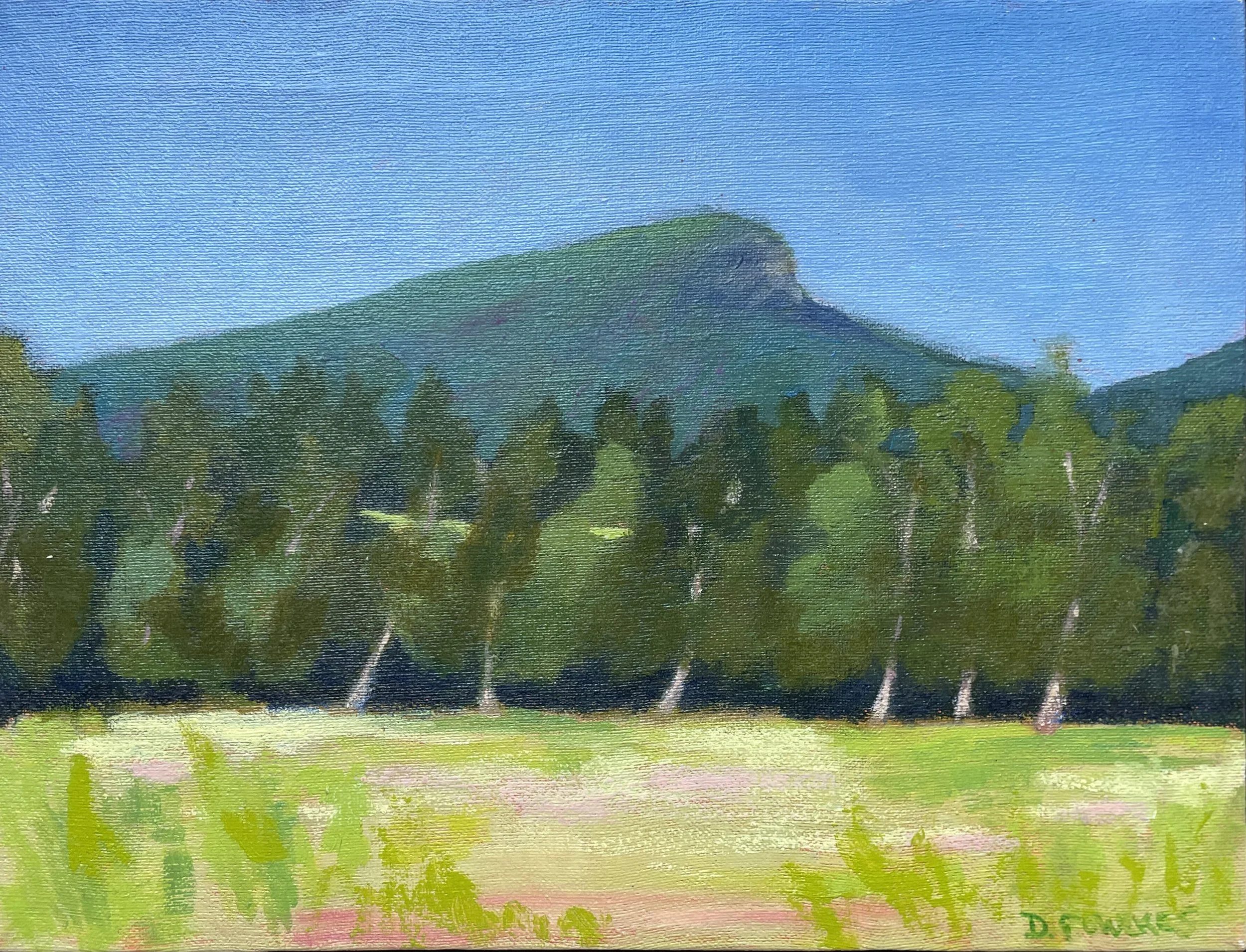 Jump from Maxwelton - SOLD