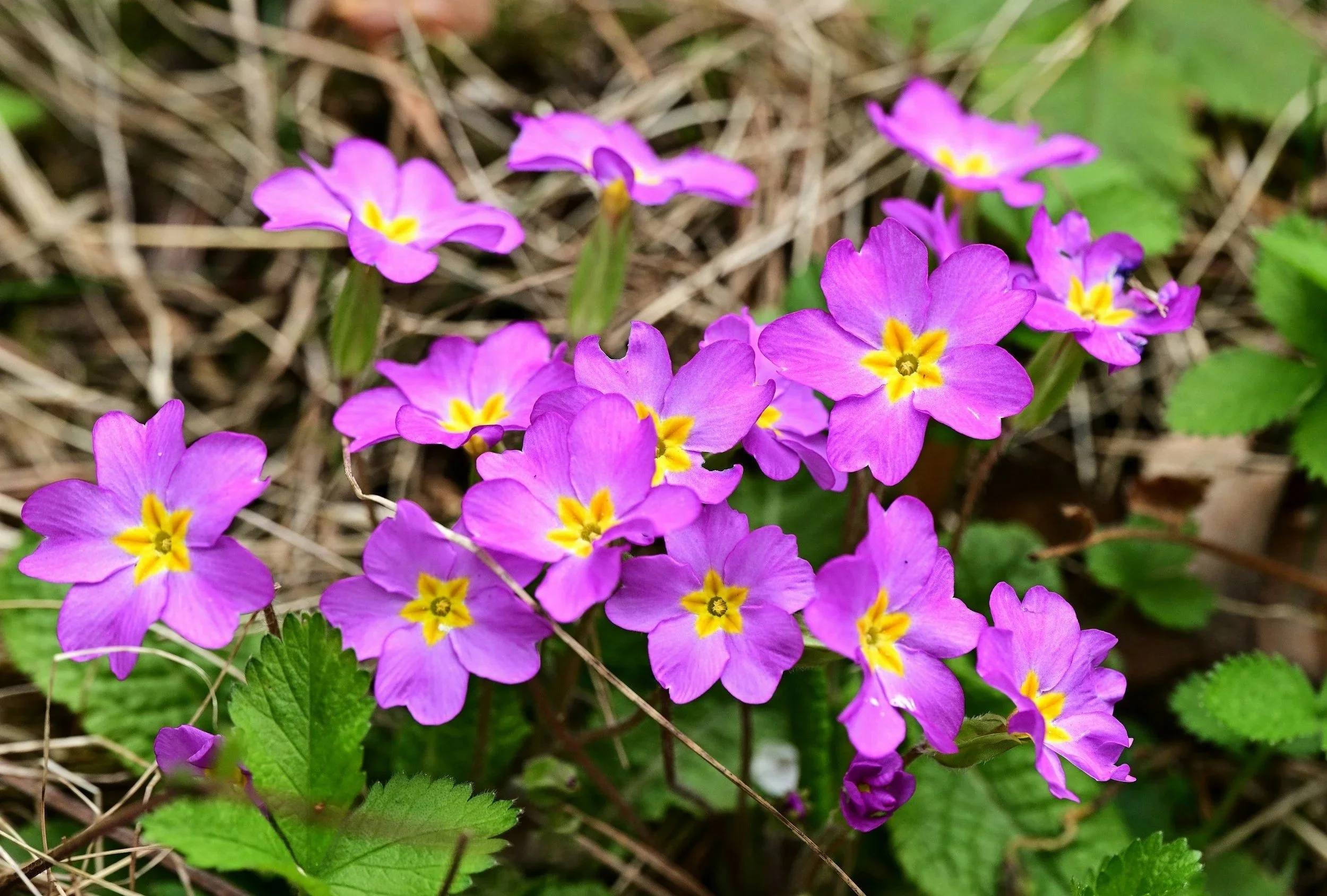 How to Love a Prodigal Adult Child: Six Powerful Lessons from Luke 15