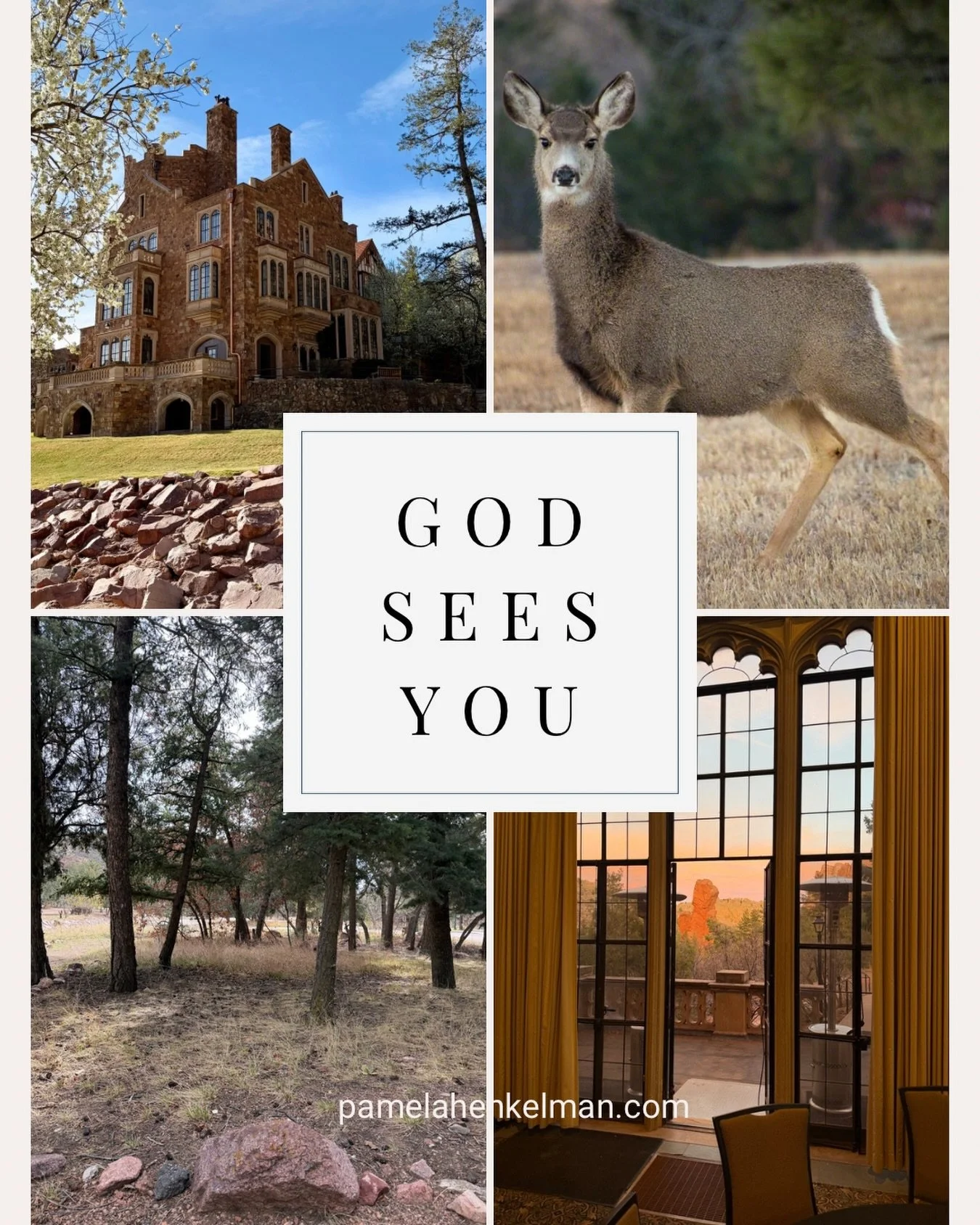 Have you ever felt unseen, Momma?

I sat in the warm spring sun at Glen Eyrie @gleneyriecastle, my Bible and journal in my lap, expecting to hear from God. 

Why is it I often feel unseen? Is it the endless prayers for healing that have gone unanswer
