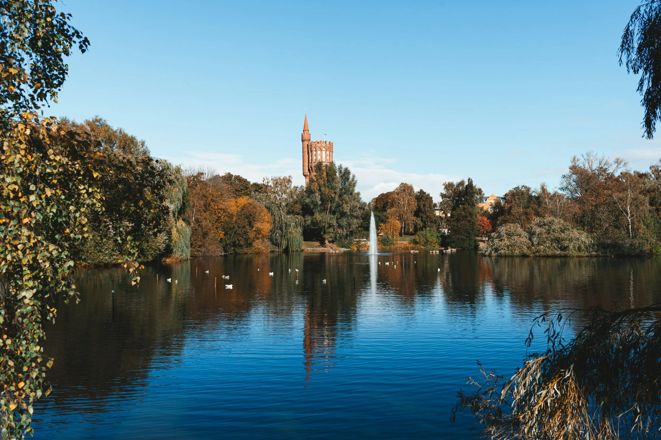 Your Empty Nest Journey Begins: What to Expect When Your Kids First Move Out