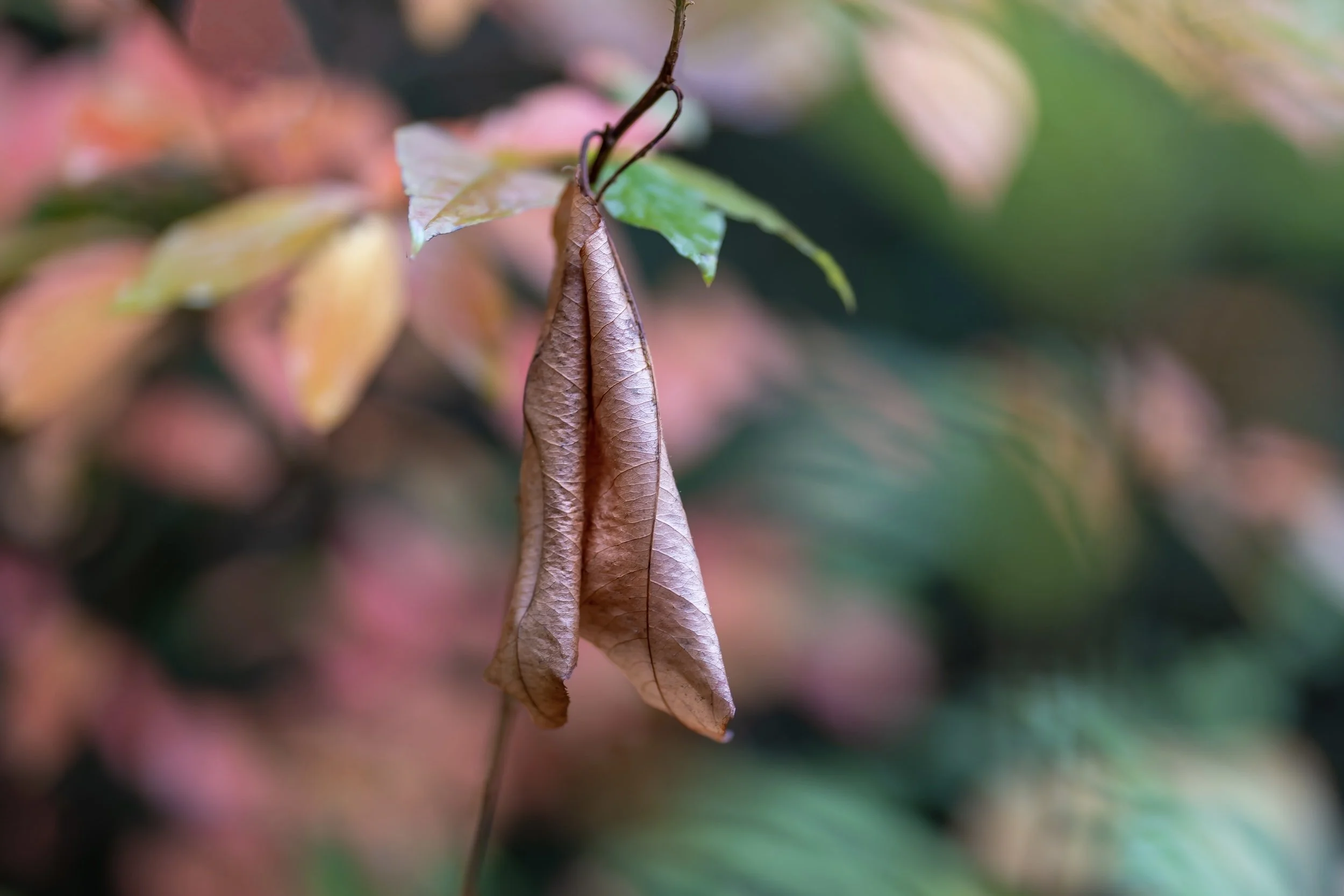 Four Reasons Why You Can Trust God