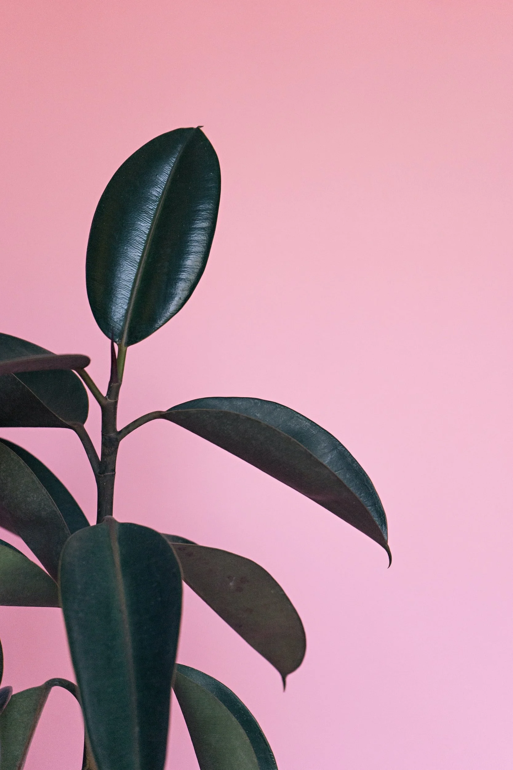 How You Can Agree To Disagree