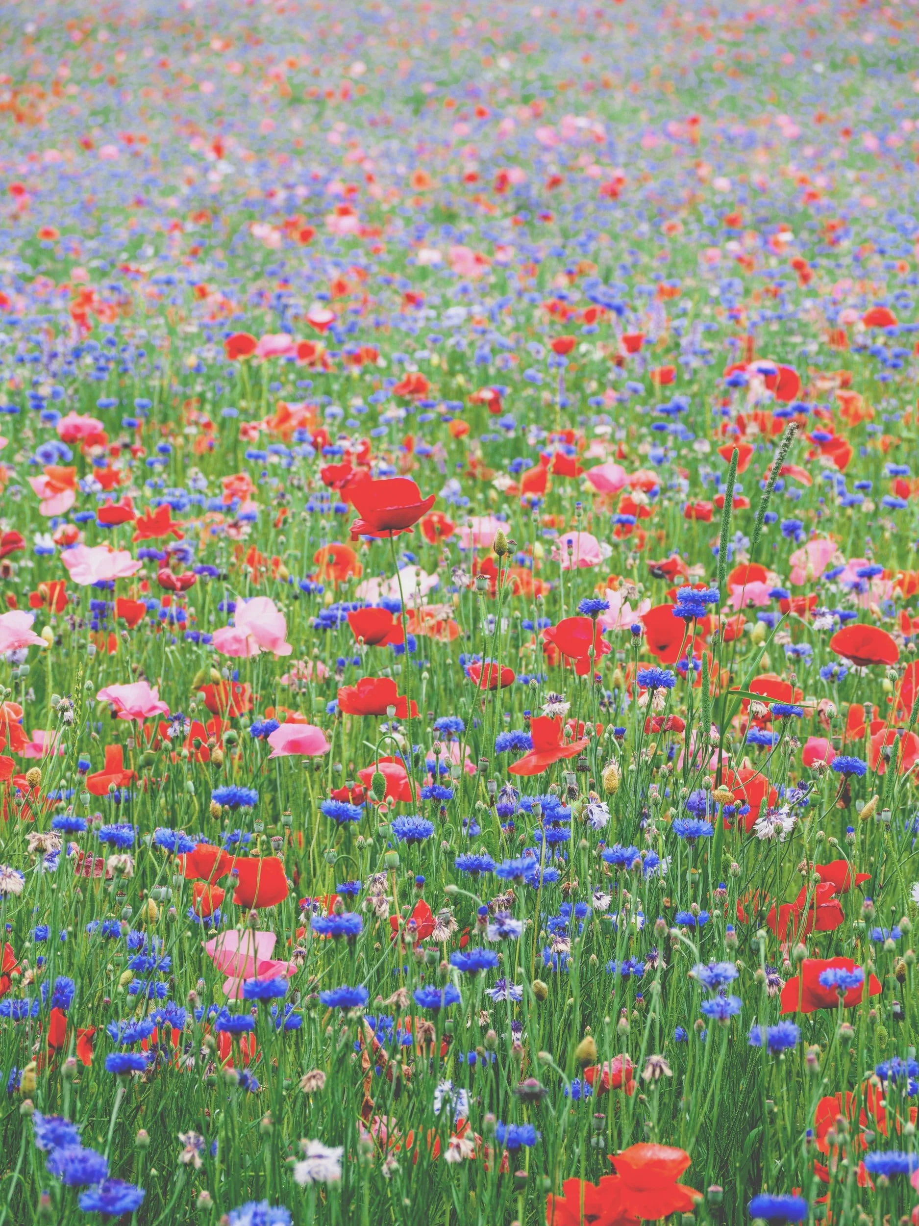 4  Powerful Reasons Why You Need to Be Empathetic