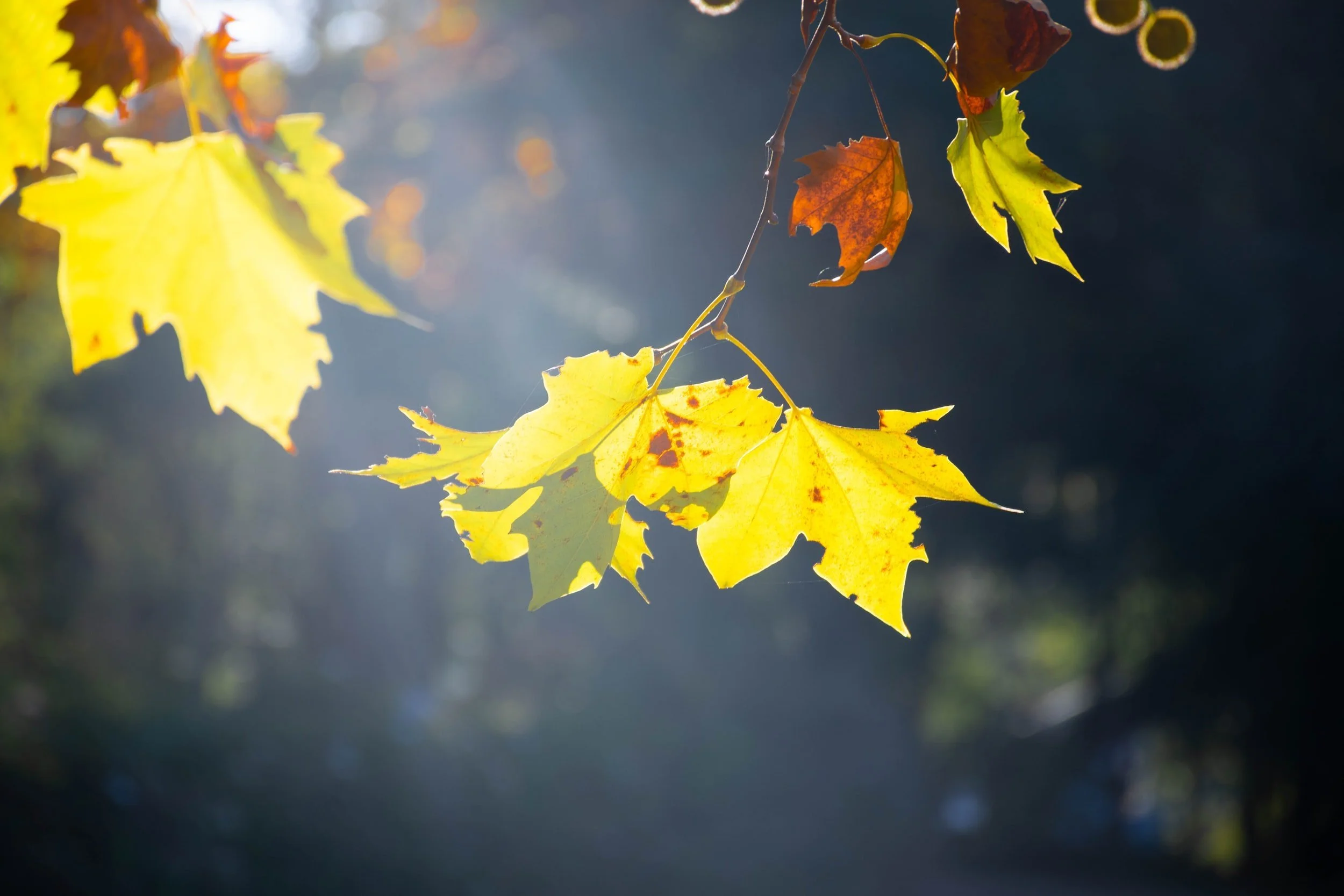 The Power of An Apology