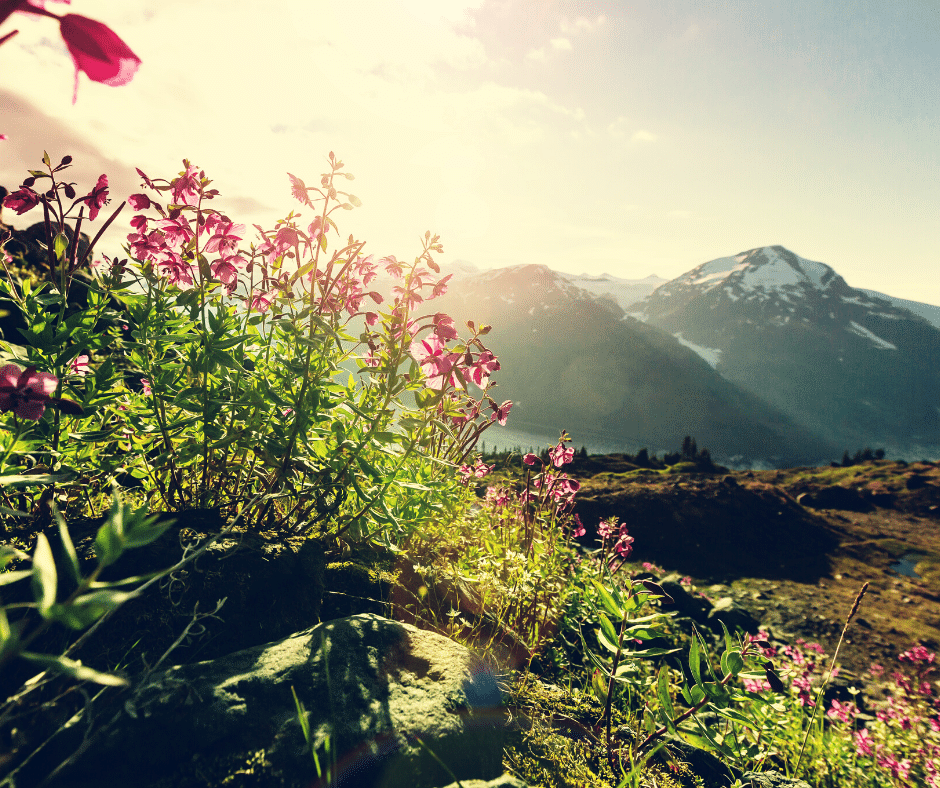 How To Feel Secure When You're Upset