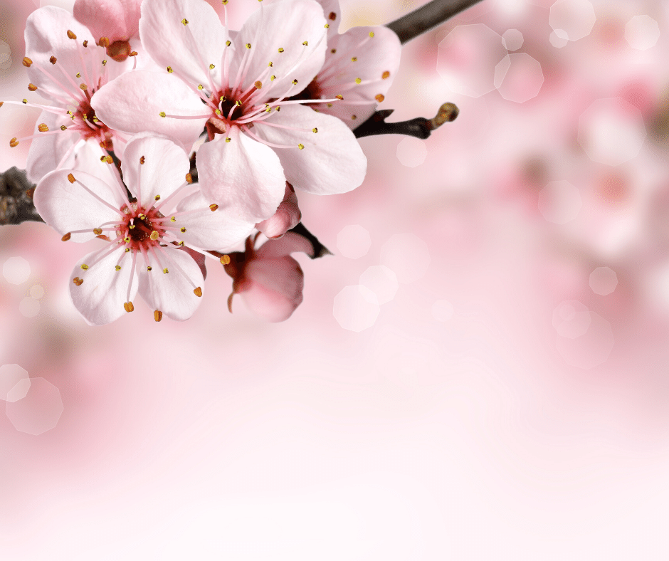 I Am Enough Because Christ Completes Me