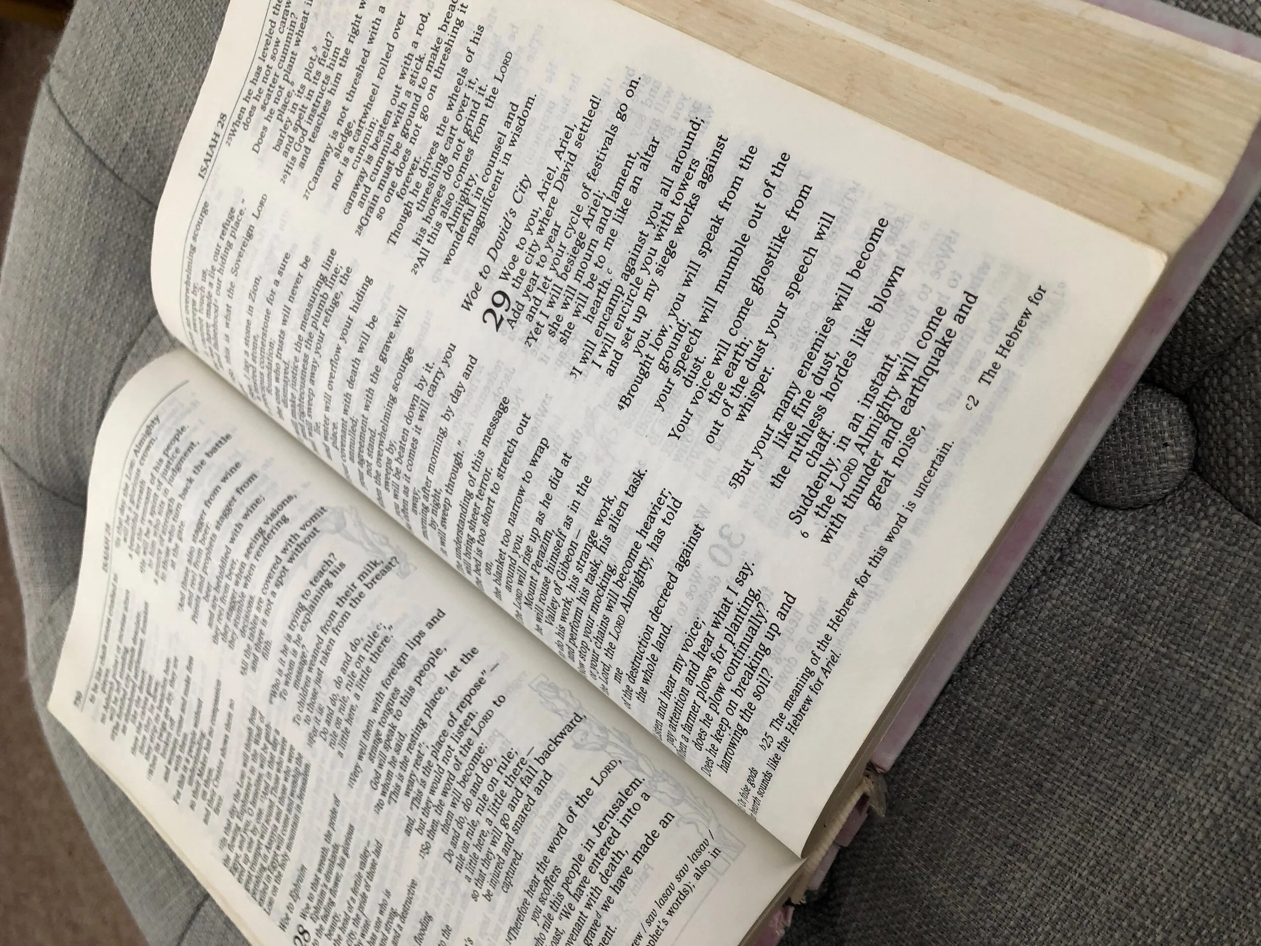 Read the Word for Connection