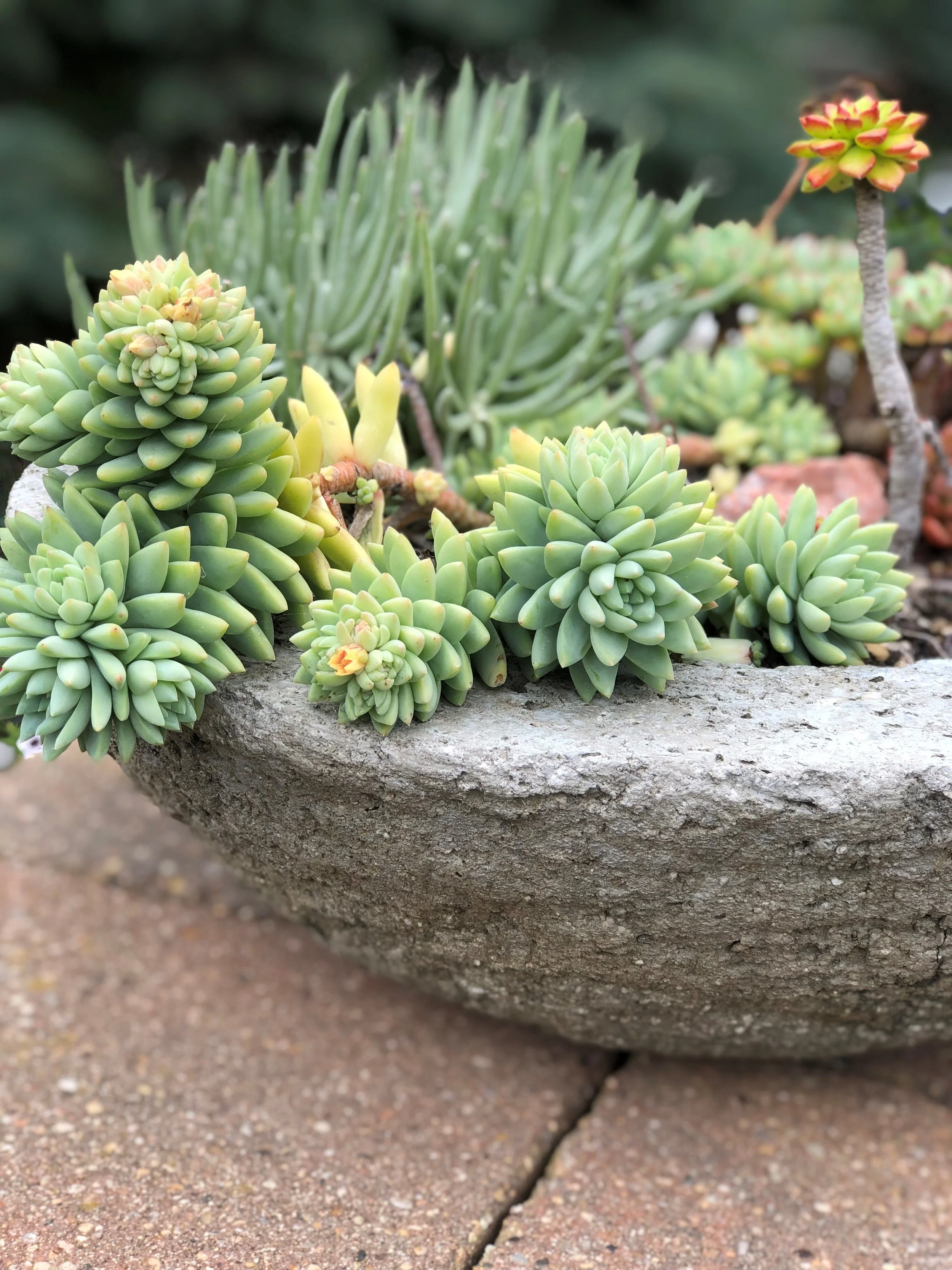 The Joy of Vulnerability With God