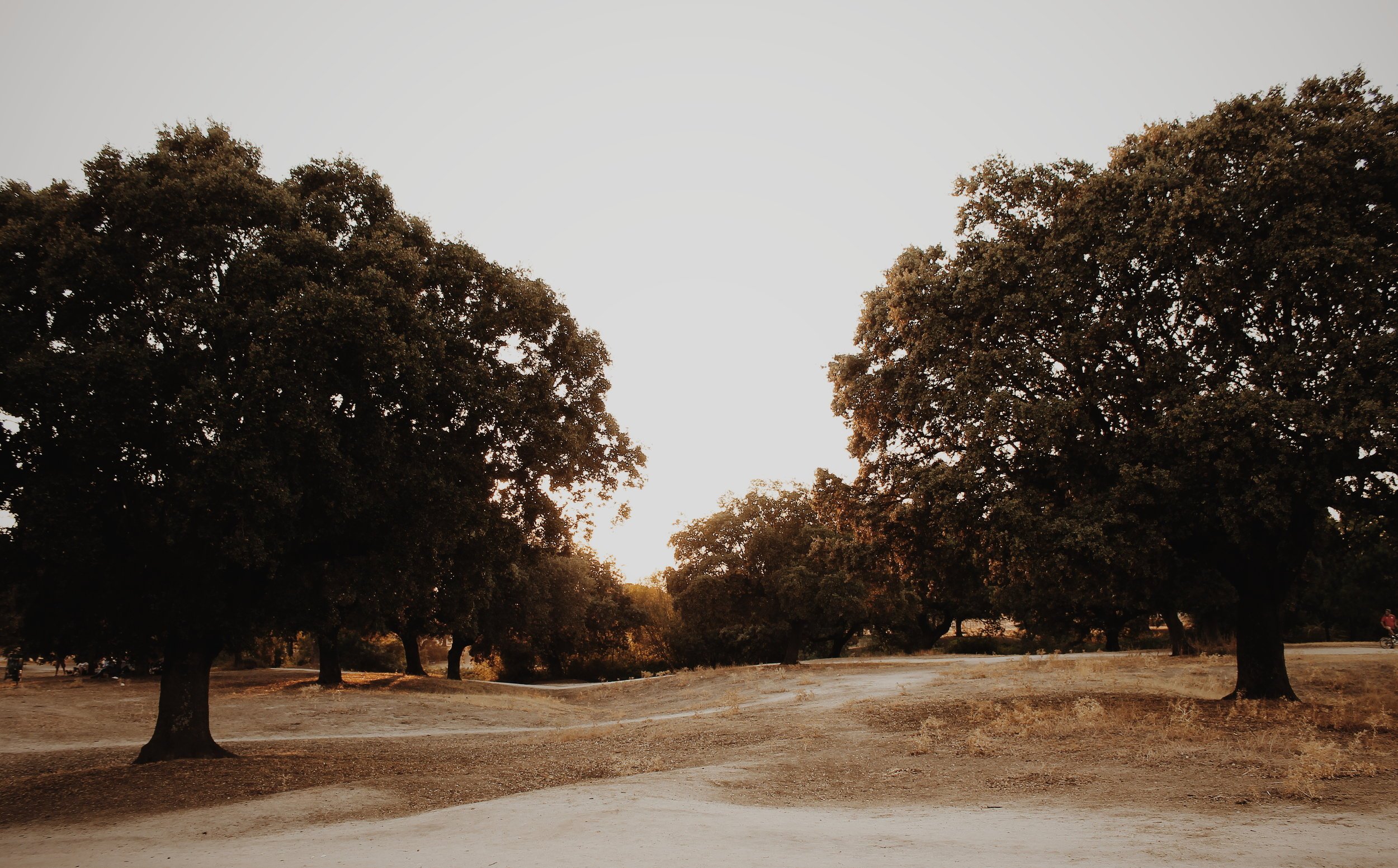 Trusting God Series: God Is Trustworthy