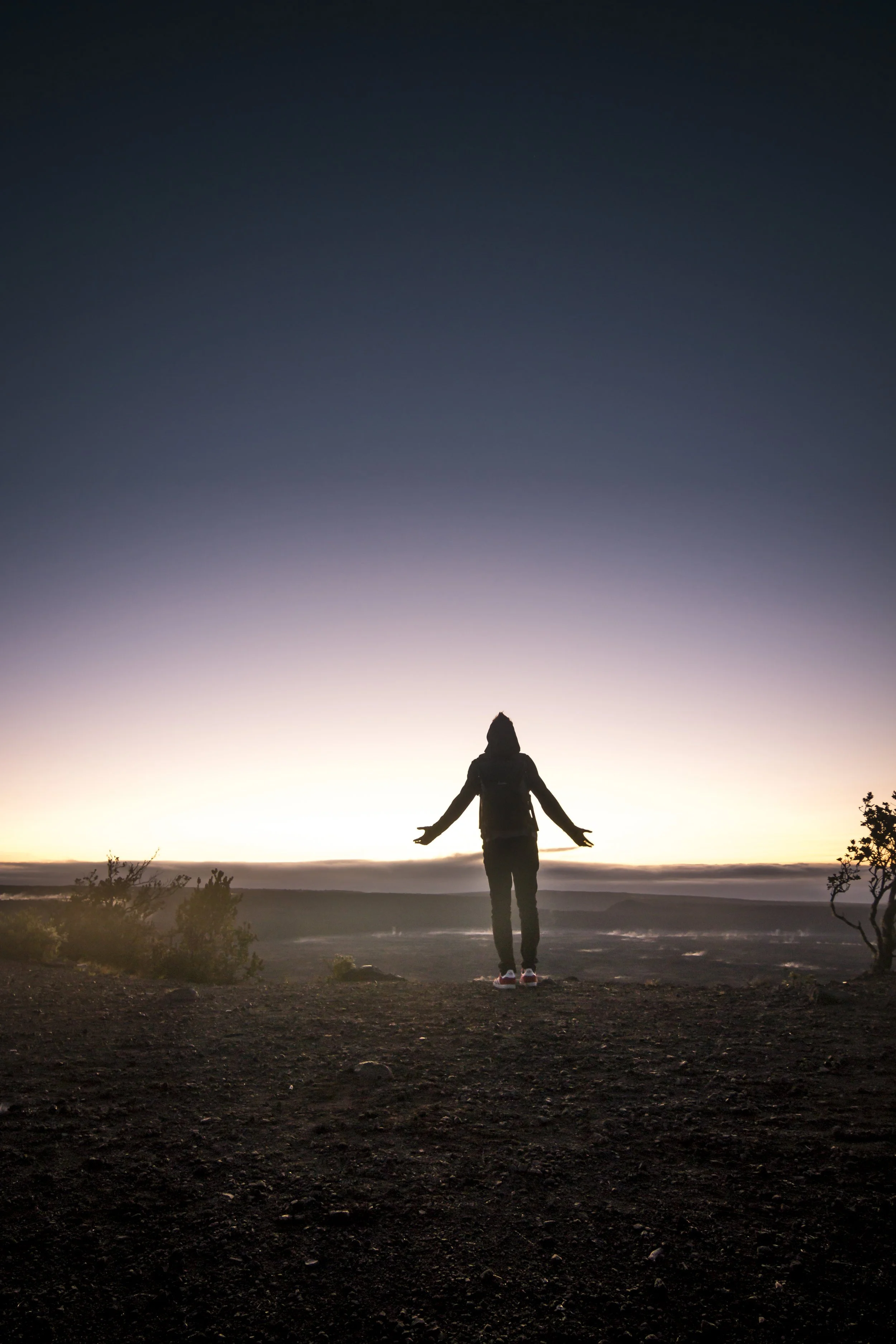 Trusting God Series: The Surrendered Heart