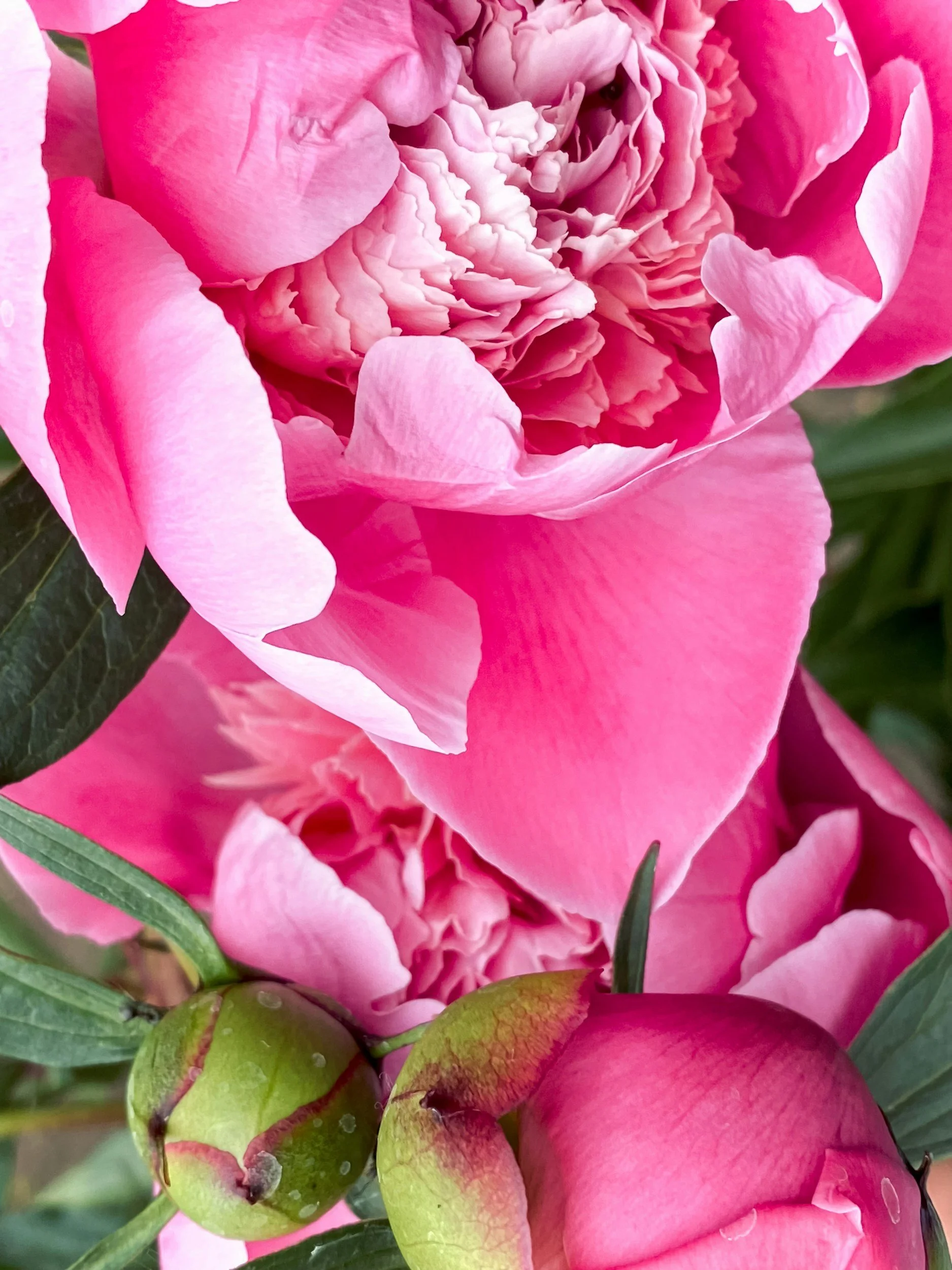 How to Be a Peaceful Mom of Adult Children: Six Ways to Let Go and Trust God