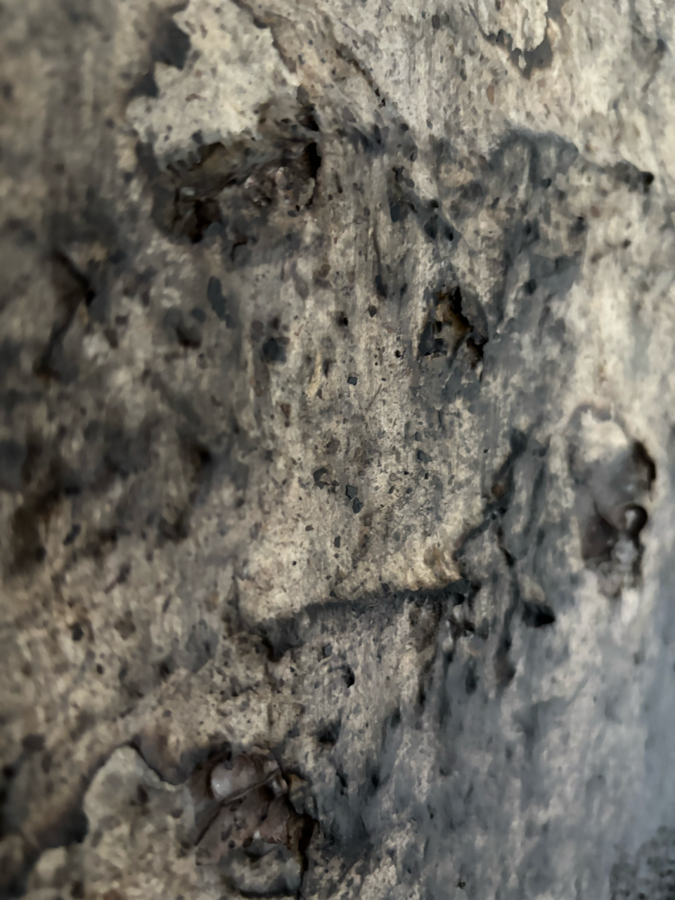 IMG_3630 Large.png