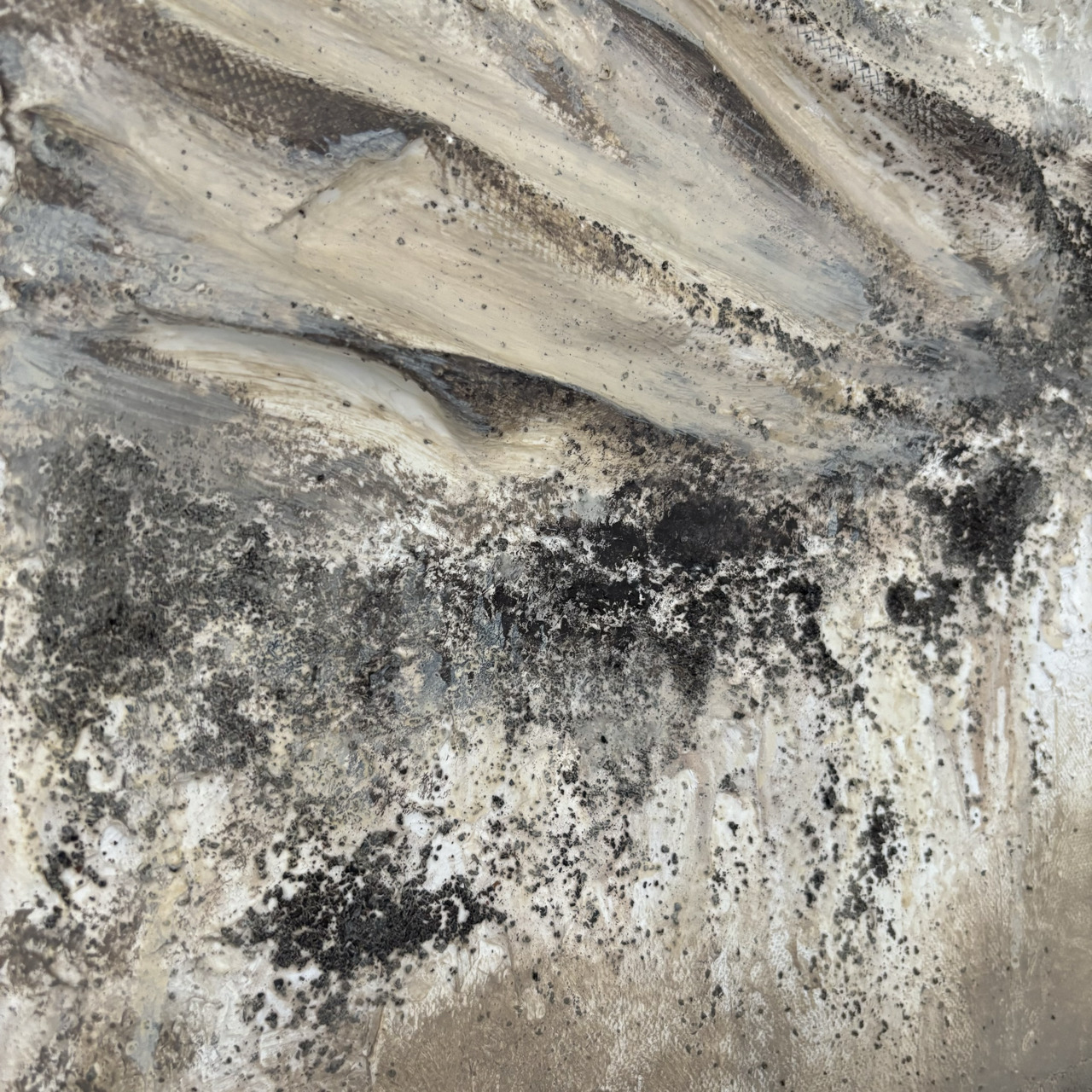 IMG_6824 Large.png