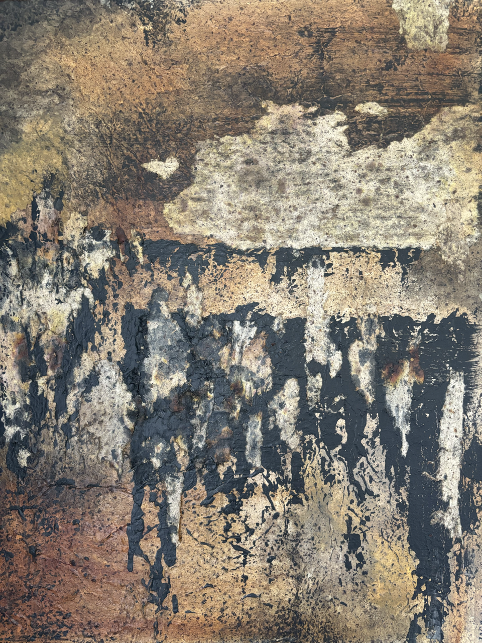 IMG_6830 Large.png