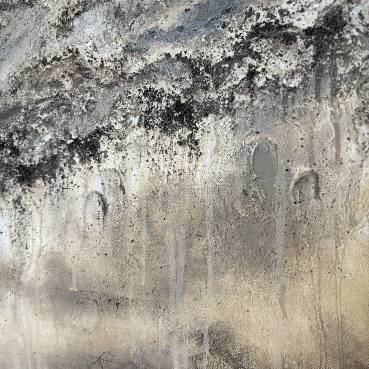 IMG_6825 Large.png