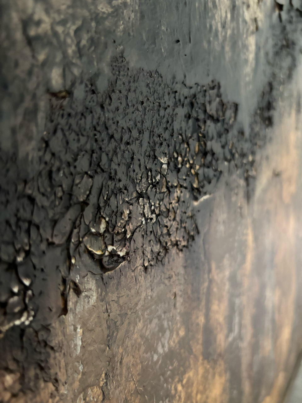 IMG_3628 Large.png