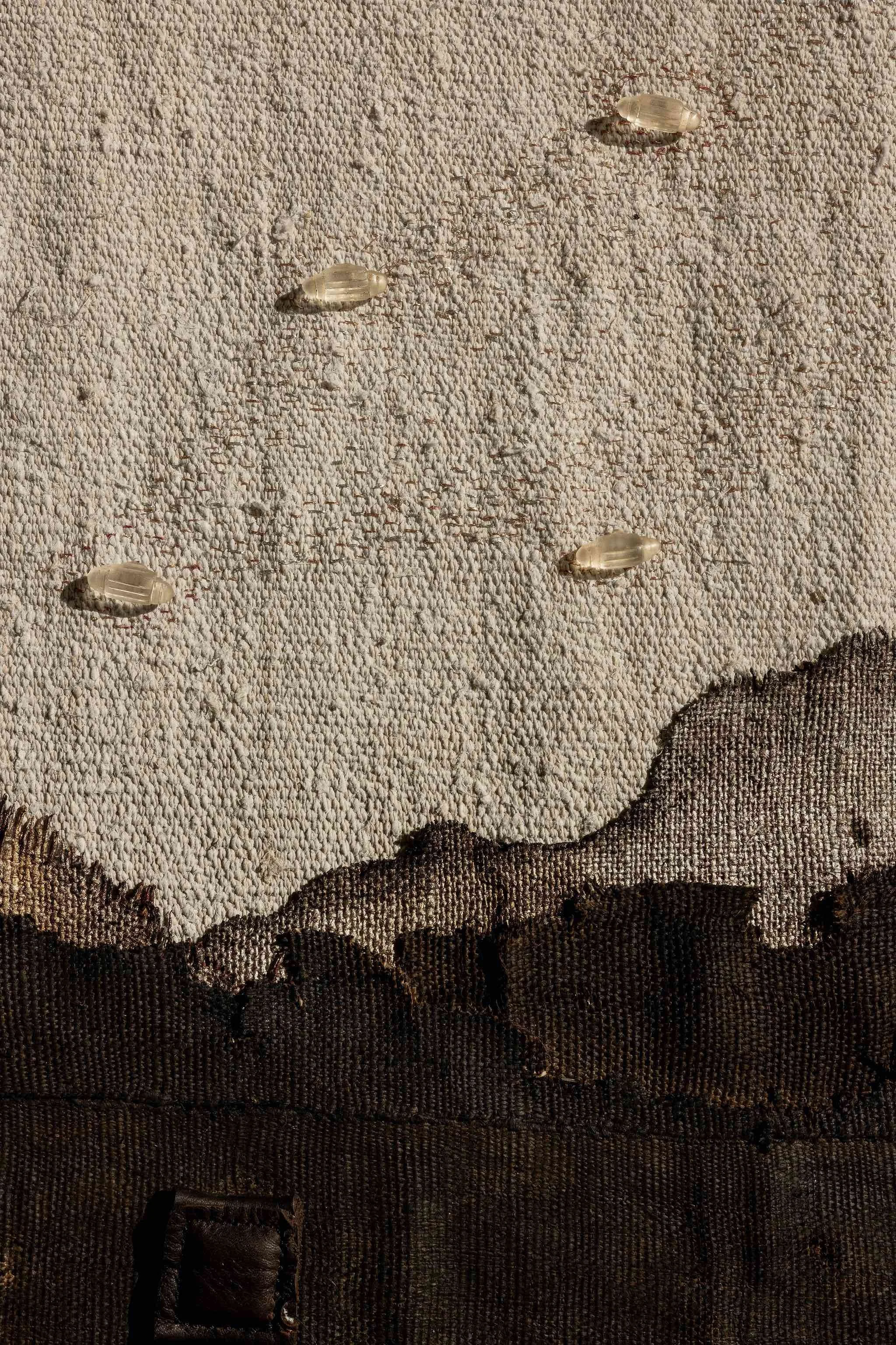 02c Landscape of Blessings 01 Detail 3.jpeg