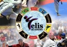Celis Taekwondo Academy