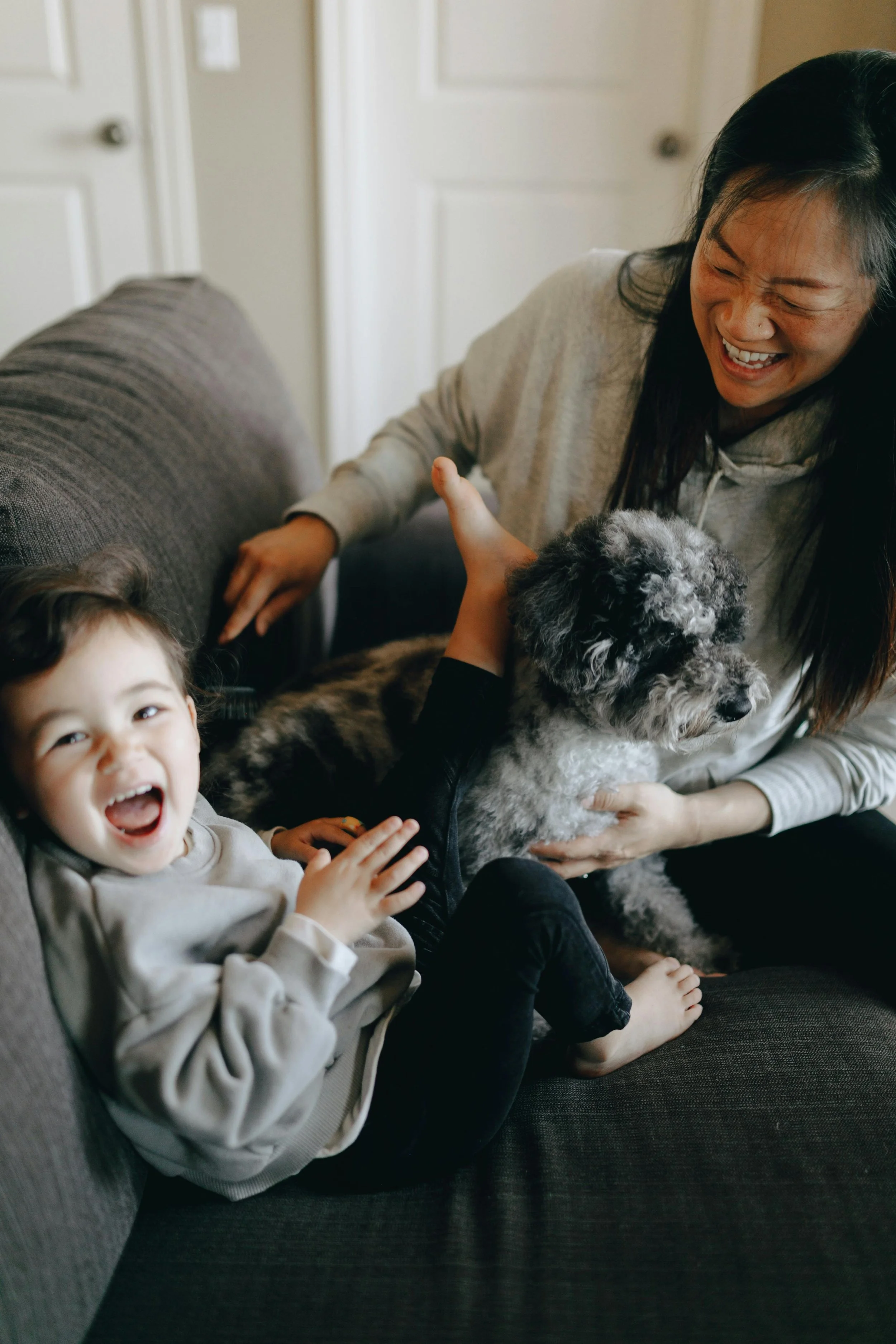 A young girl laughing and playing with a woman holding a dog on a couch.