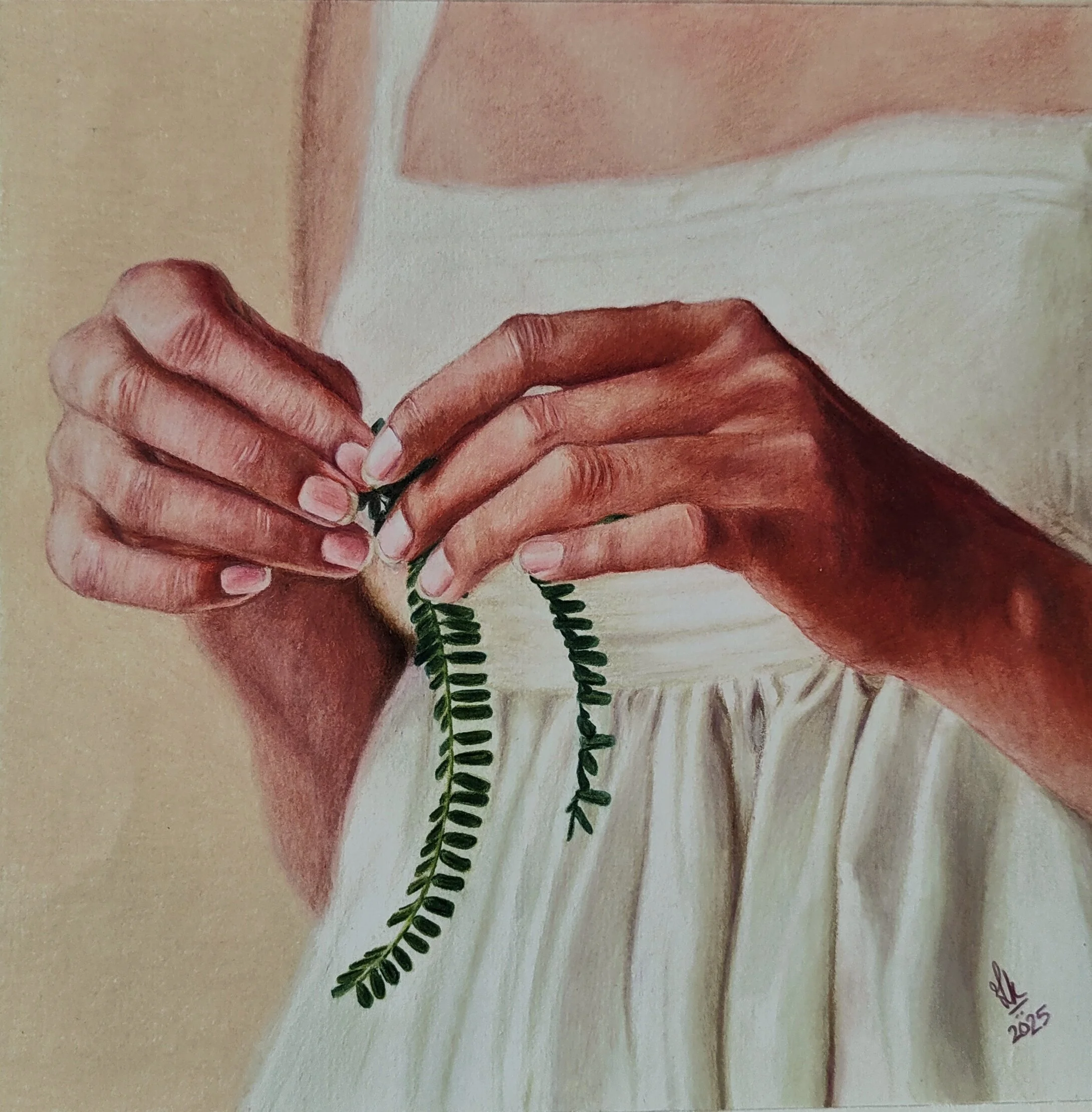 Daydream  |  Color Pencils  |  9.5 x 9.5 inch