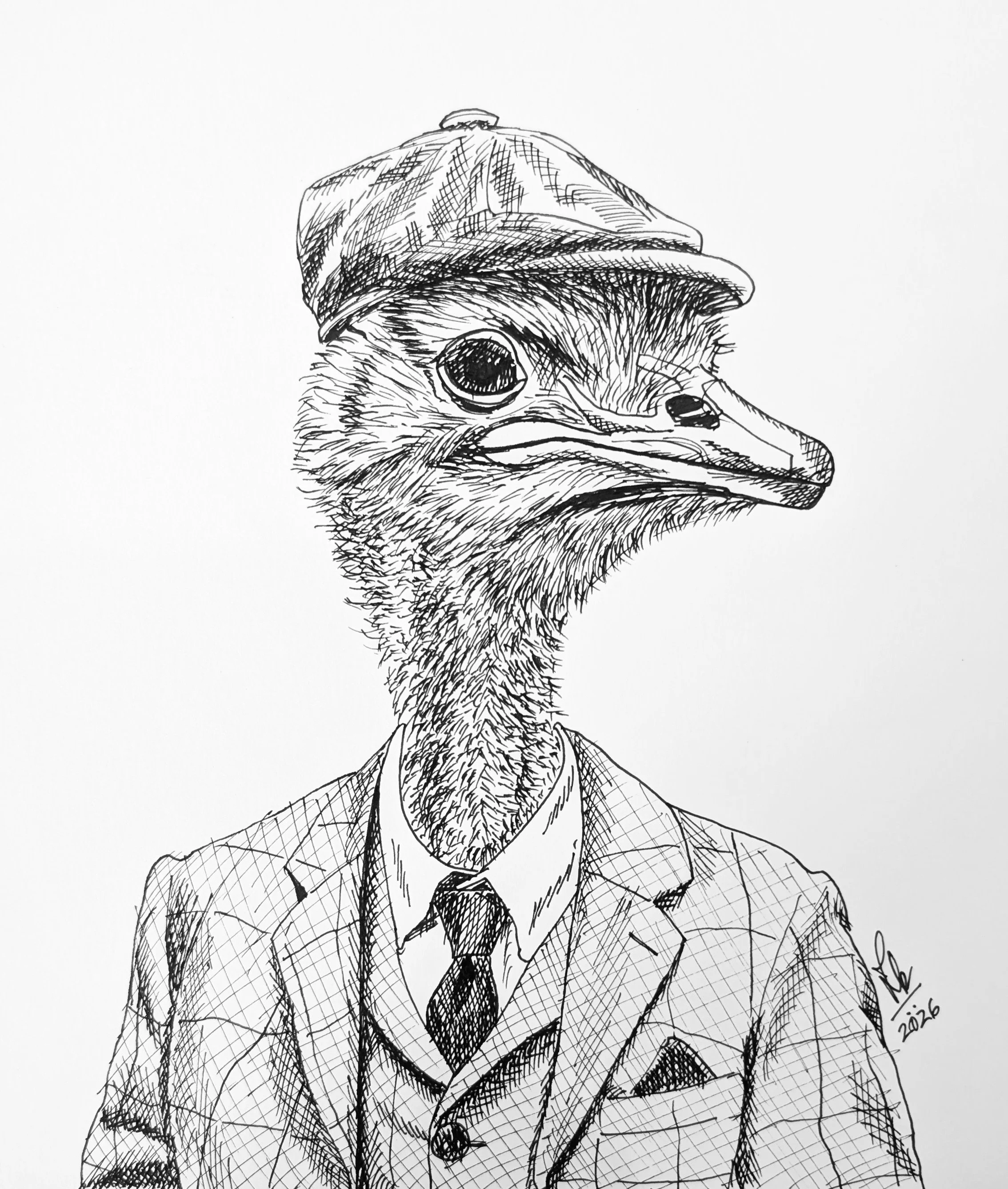 Mr. Ostrich  |  Ink Pen  |  9 x 10