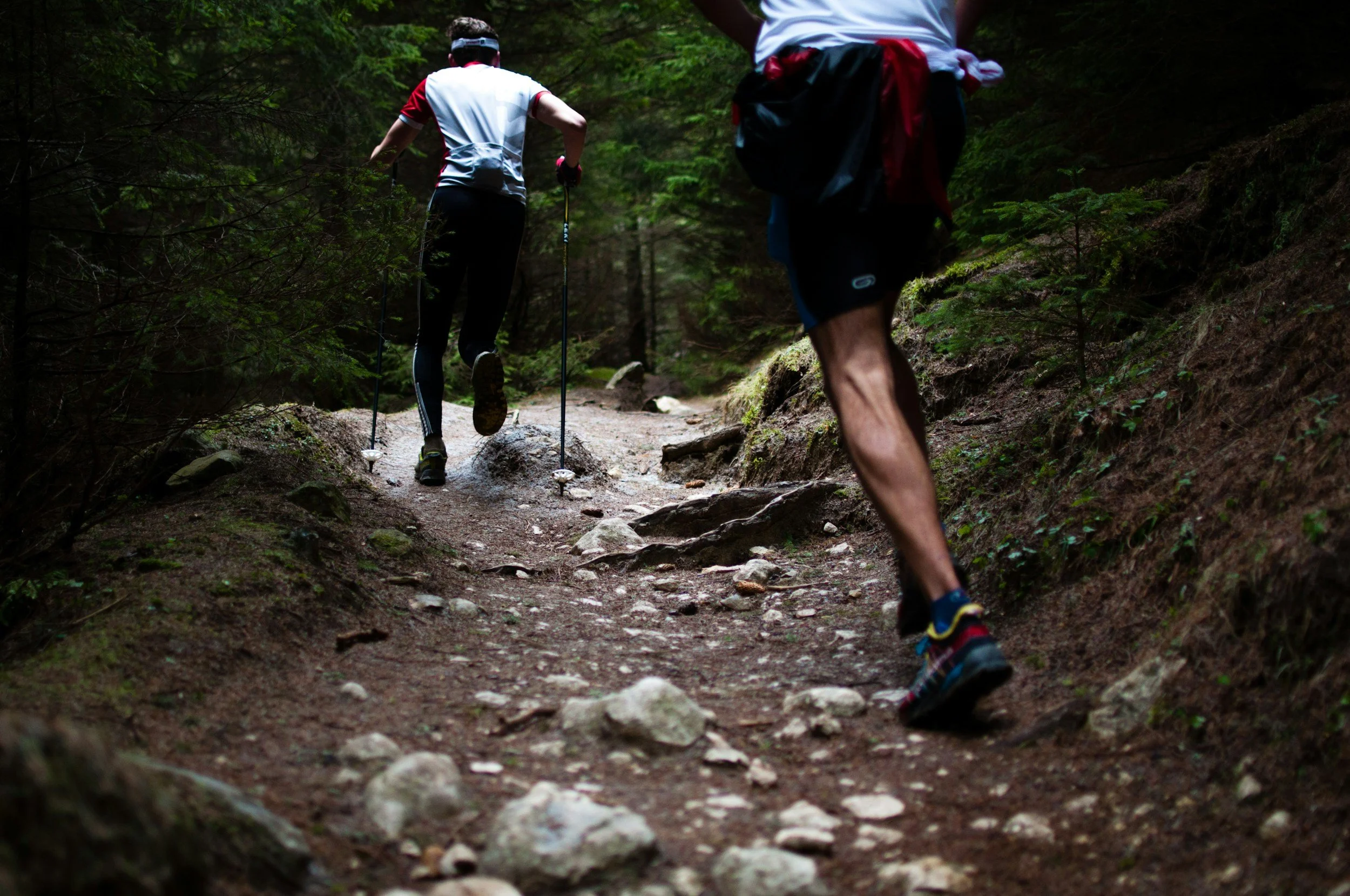 Two hikers walking on a rocky dirt trail in a forest, using trekking poles.