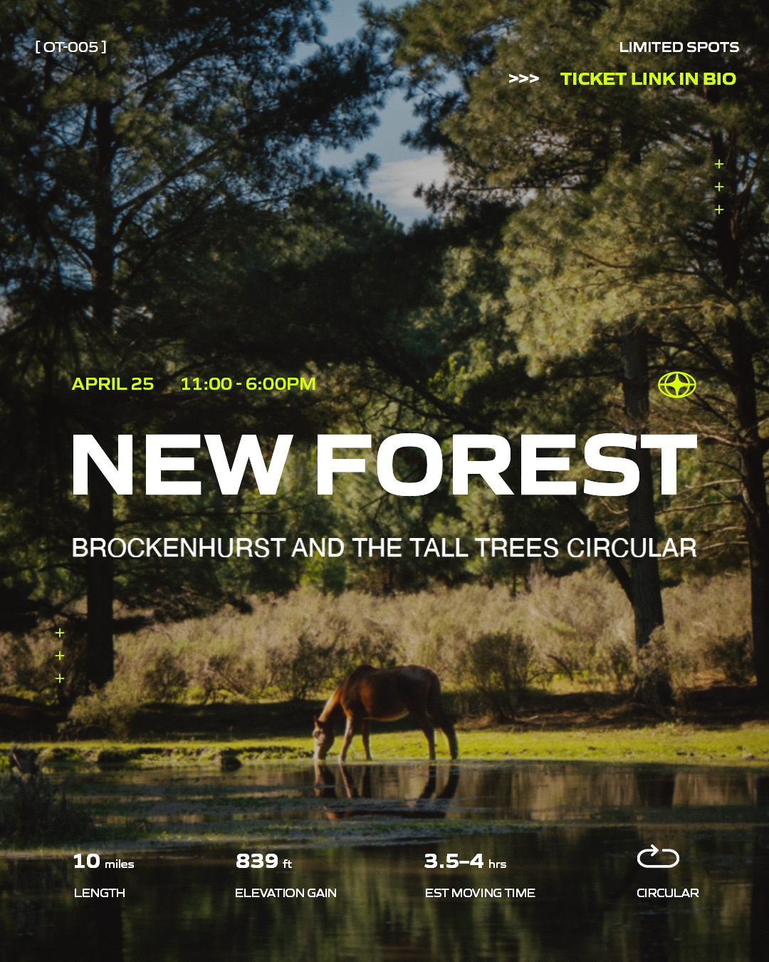 A group of horses grazing in a lush green field with a small pond, surrounded by trees under a partly cloudy sky.