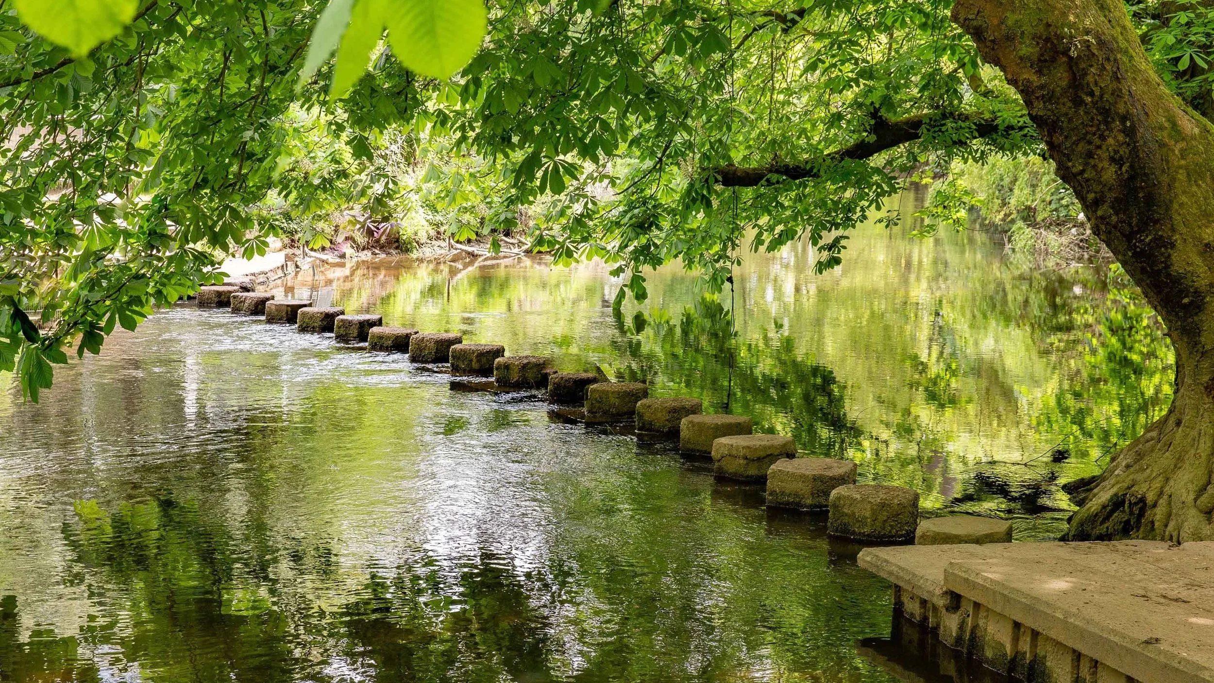 A peaceful river scene with stepping stones crossing the water, lush green foliage overhanging, and a moss-covered tree trunk on the right, reflecting in the river.