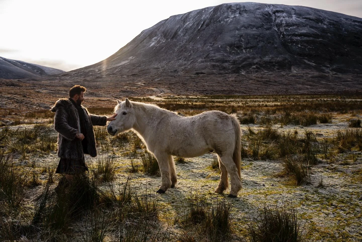 Category is: horse!
Wishing everyone a happy Lunar New Year and here&rsquo;s his some casual white horses met when we were out and about. The first one is up north past Inverness and the other was near my hometown around Lanark.
I worked my weekends 