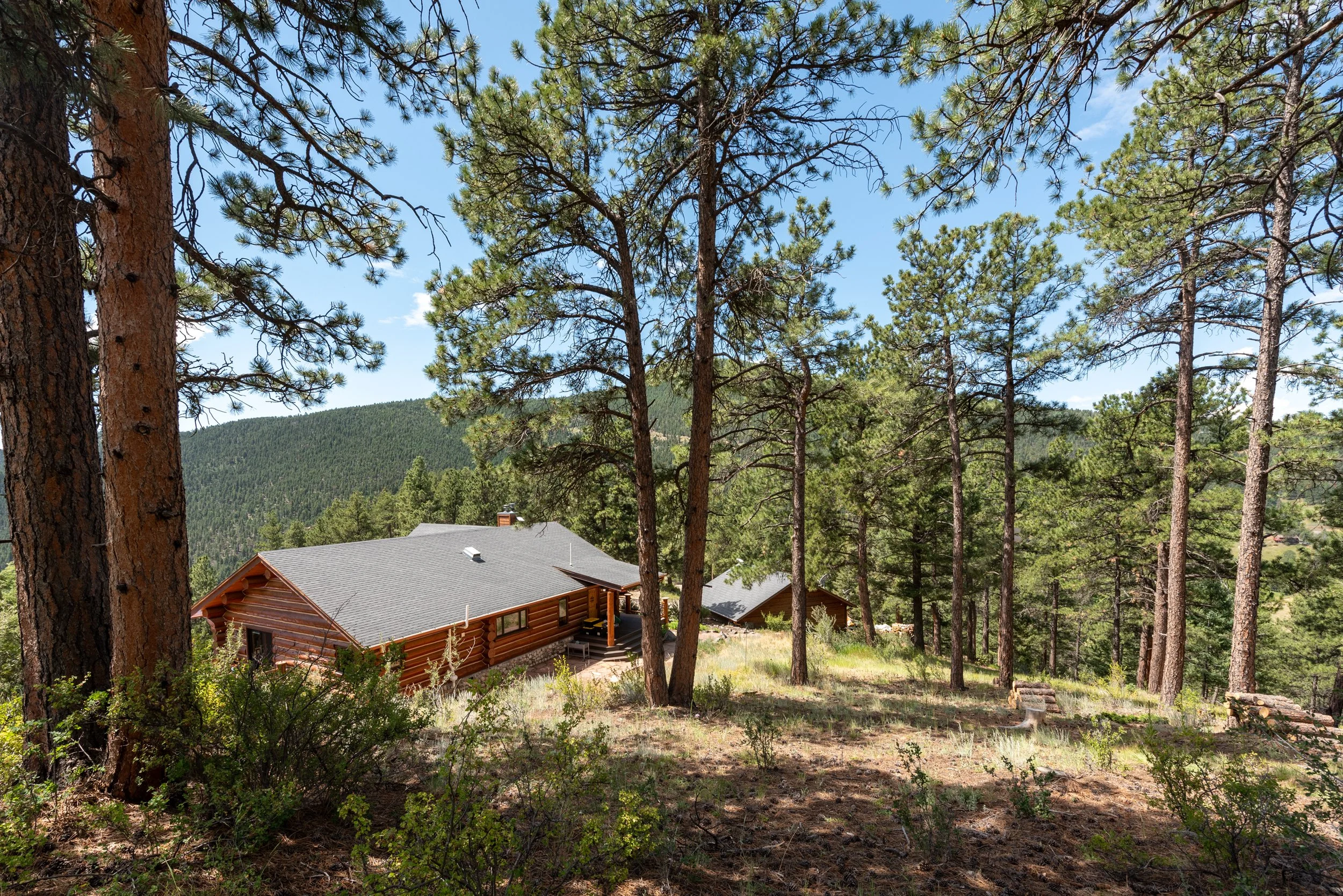 A wooden house in a forested area surrounded by tall pine trees with a mountain in the background under a blue sky.