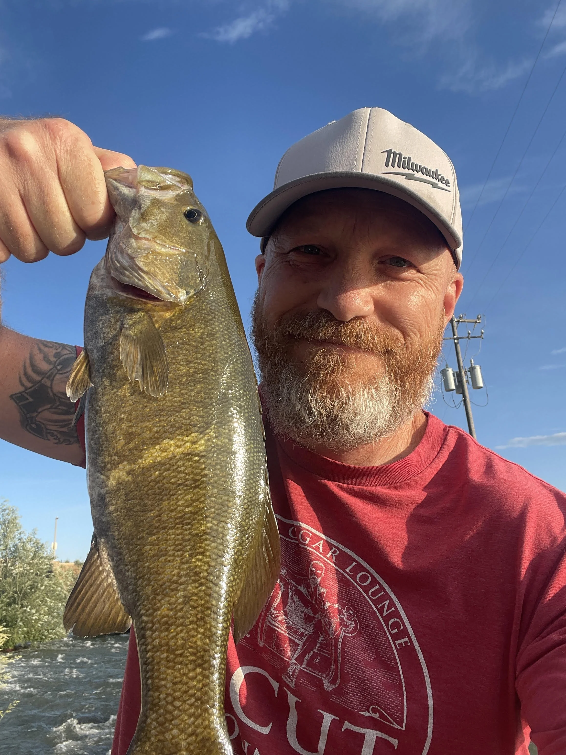 A man with a red beard and a light gray cap is smiling and holding a largemouth bass in front of him during daytime outdoors, with a blue sky and power lines in the background.