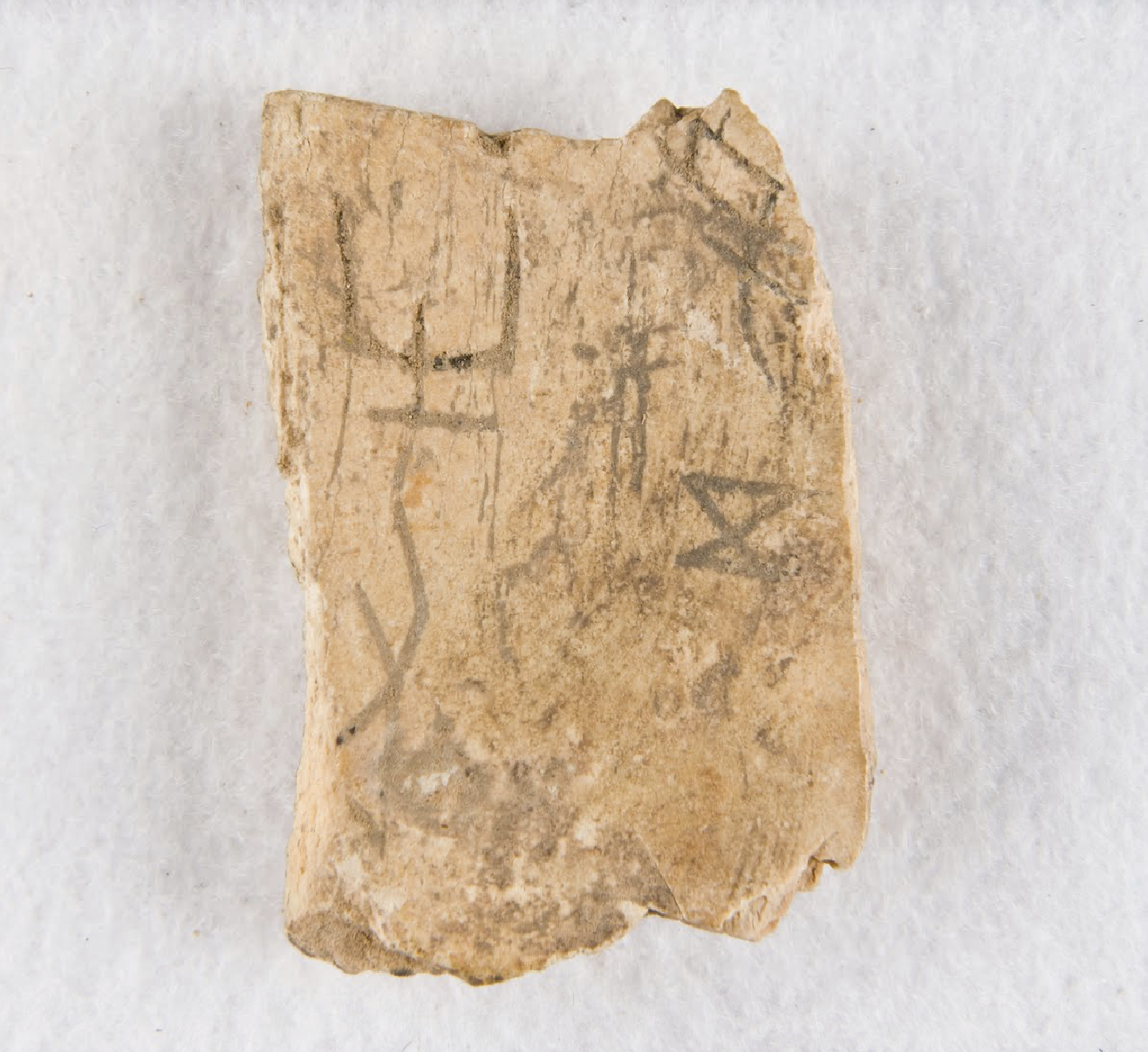 LLM’s: um novo oráculo?