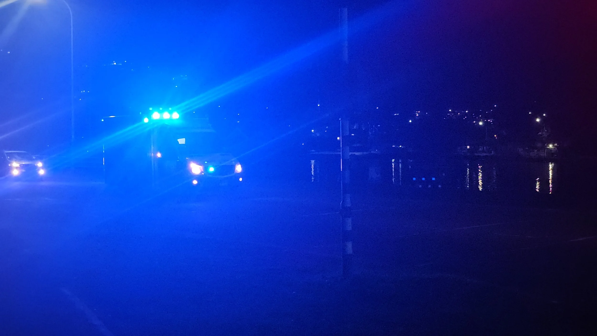 Nighttime scene with police cars with blue flashing lights on a dark street near a body of water, with distant city lights reflected on the water.
