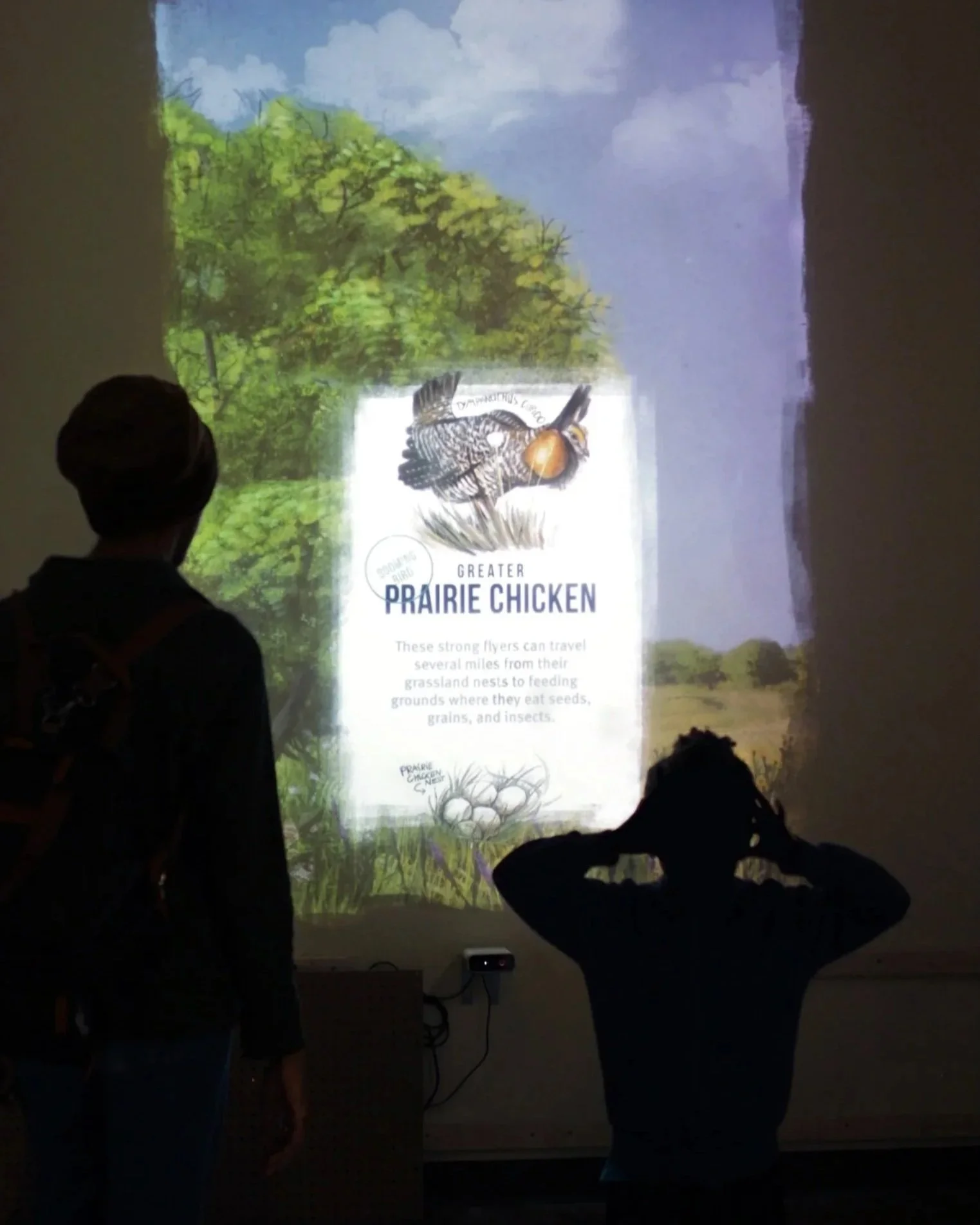 Silhouettes of two children looking at a projected informational display about prairie chickens, showing a prairie landscape and a detailed illustration of a prairie chicken.