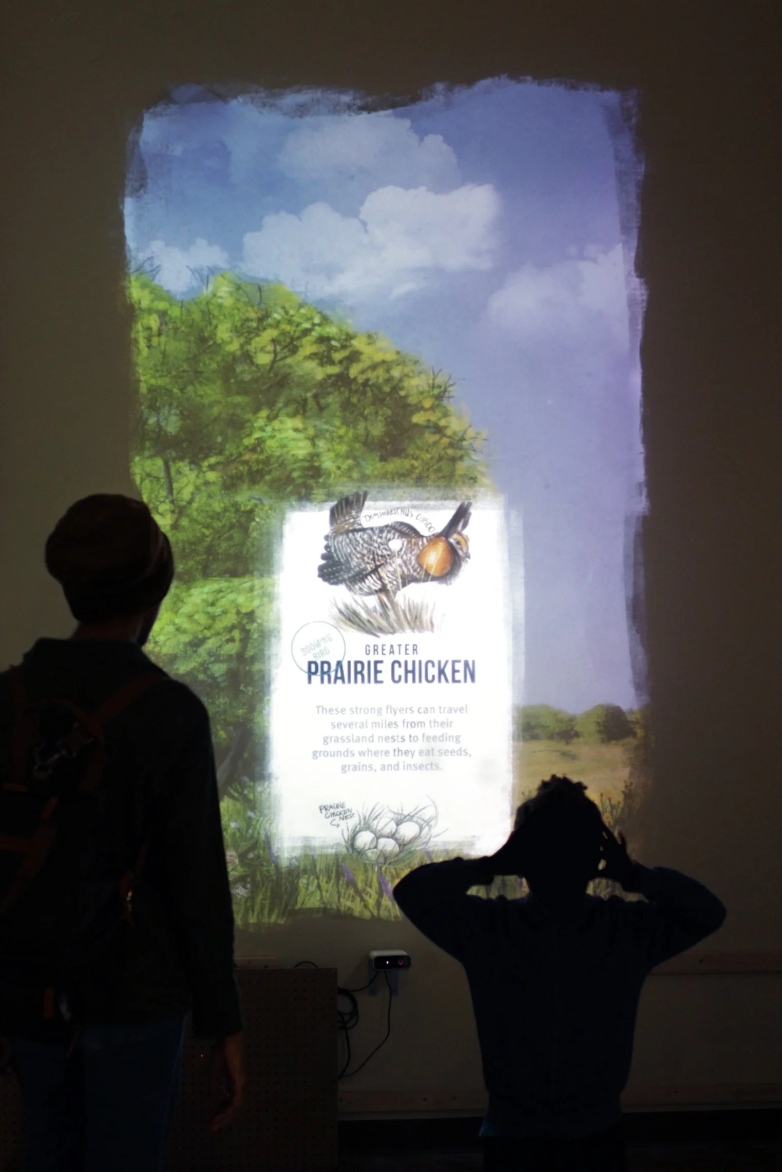 Two people, a woman and a child, standing in front of an illuminated display about prairie chickens, showing a prairie landscape with trees and blue sky.