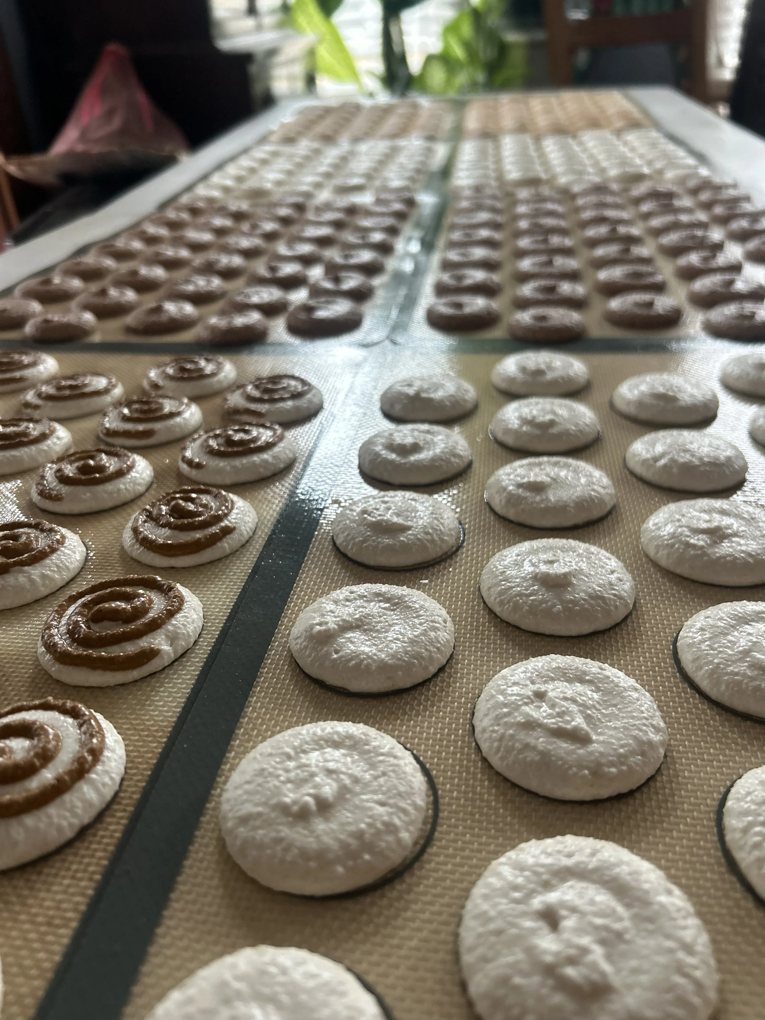 Rows of unbaked cinnamon rolls on silicone baking mats, with some topped with cinnamon swirl and others plain, on a kitchen counter.