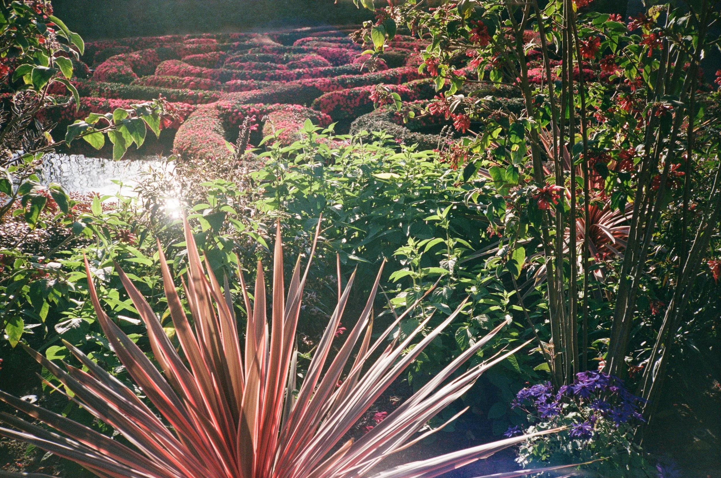 The Getty gardens '25