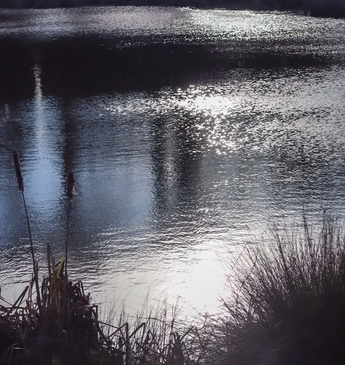 The Wonders of Water