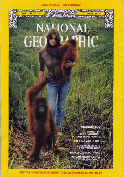 Dr Galdakis in the field as a young naturalist with orangutans.