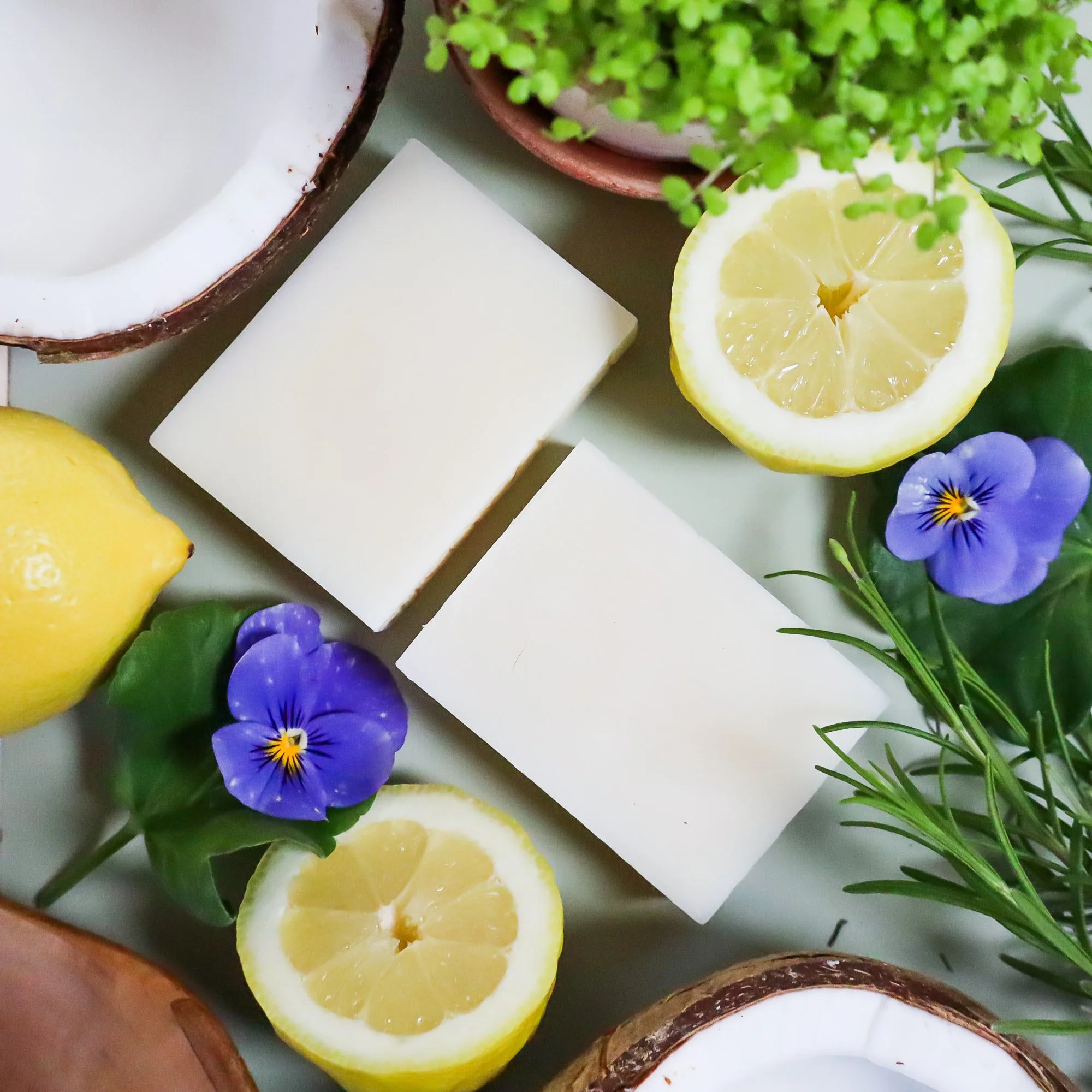 Aerial view of hand made soap bars with their raw ingredients including fresh bergamot lemons, lavender and coconuts.