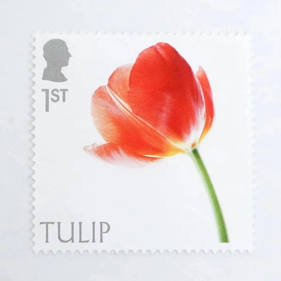 Special Edition First Class Stamps