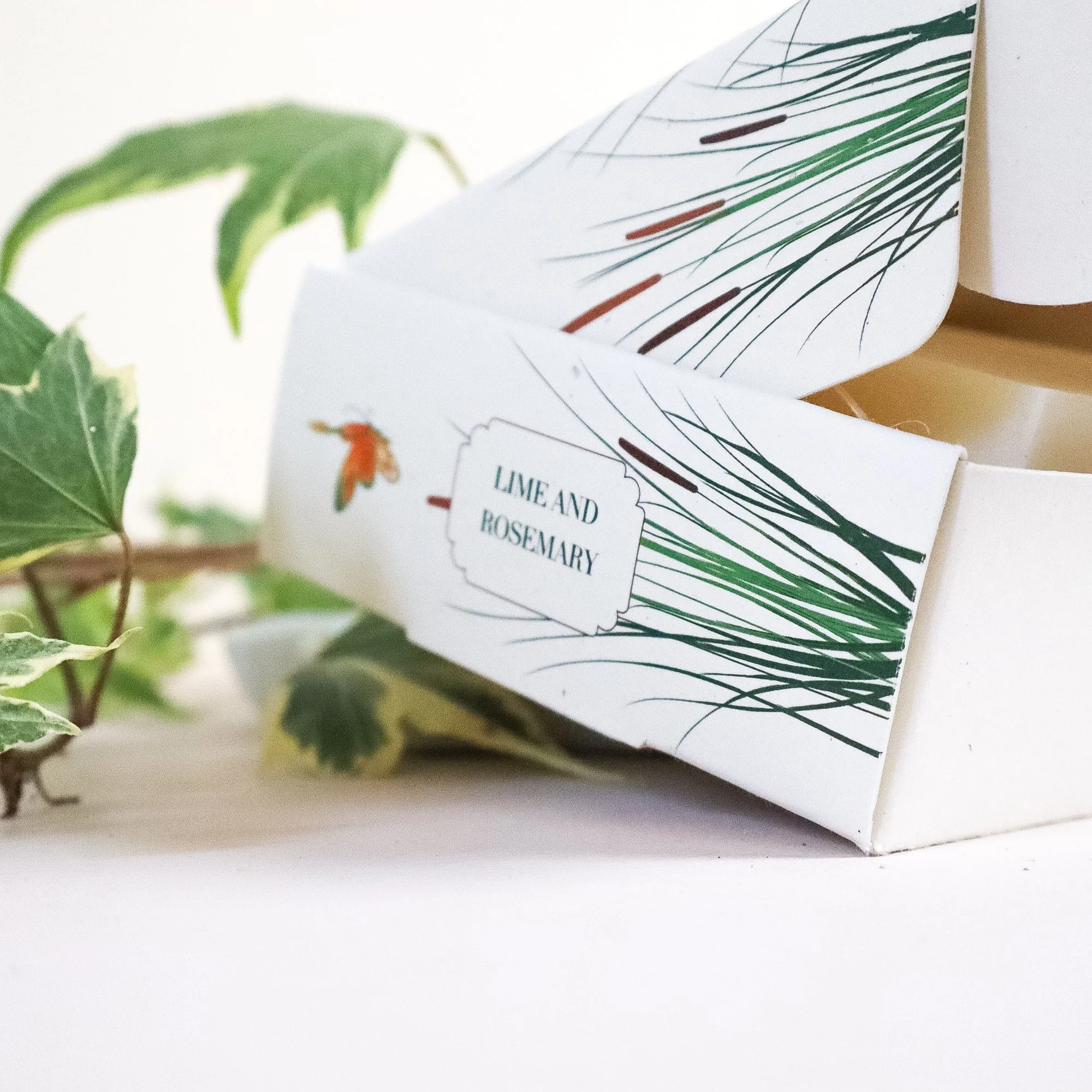 Close up of the side of an illustrated artisan soap box with a butterfly on it. Ivy is to the left of the sustainable soap box.