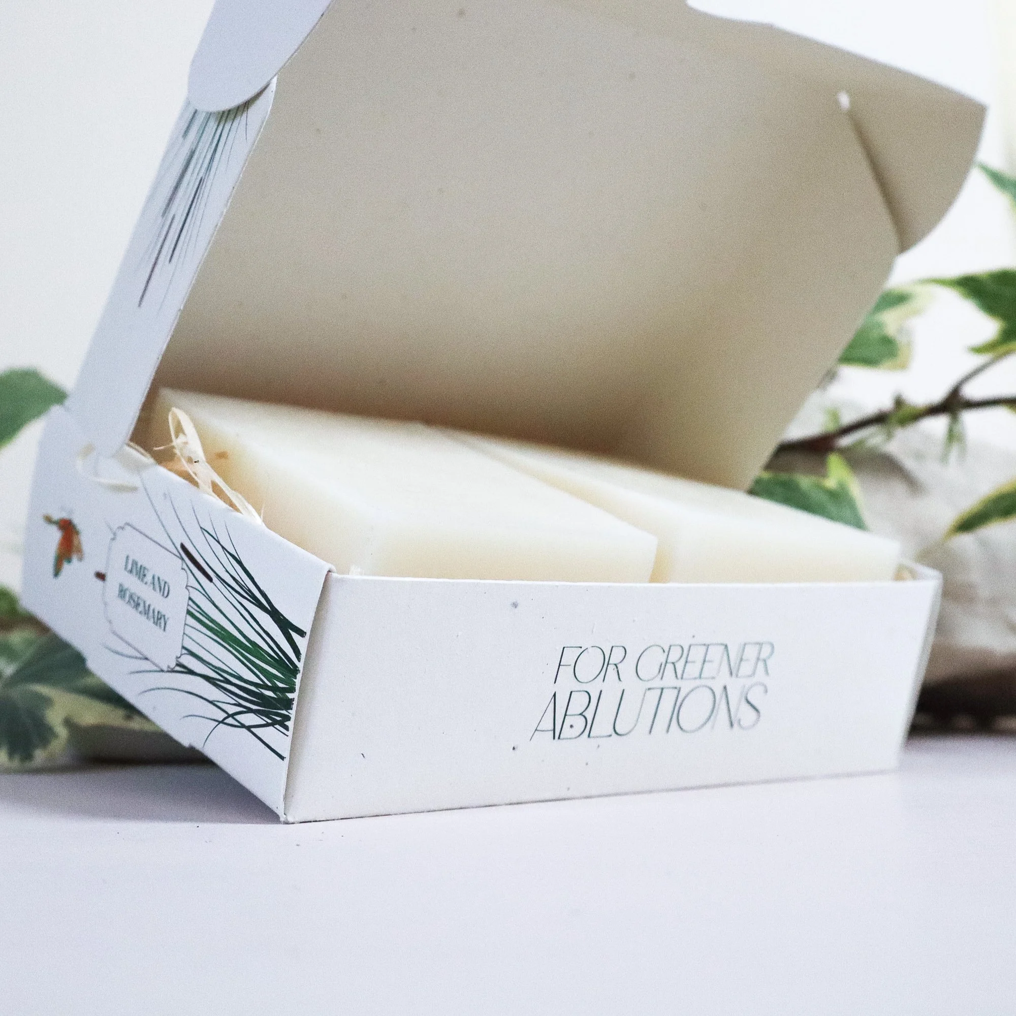 An illustrated soap box showing two handmade artisan soaps inside in shades of cream and white with fresh greenery.