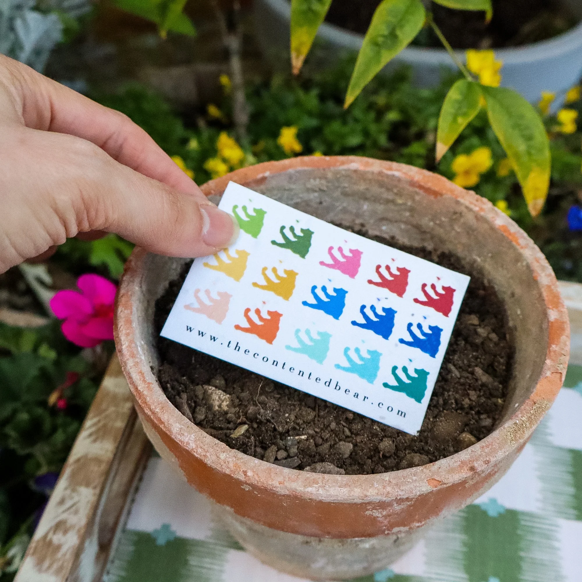 A hand placing a biodegradable colourful business card into a terracotta pot full of earth.