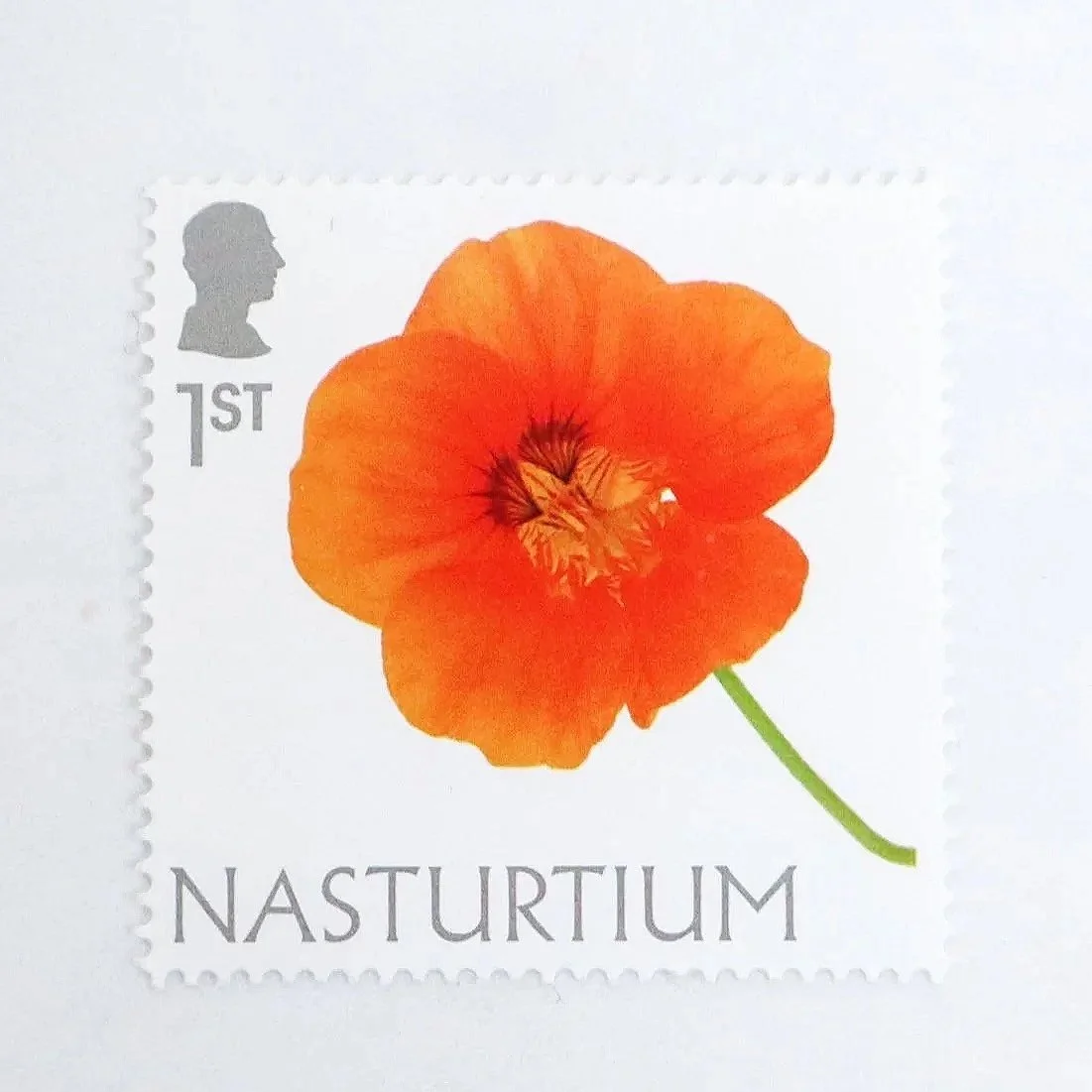 An aerial photo of a stamp featuring a close up photo of a bright orange nasturtium flower.