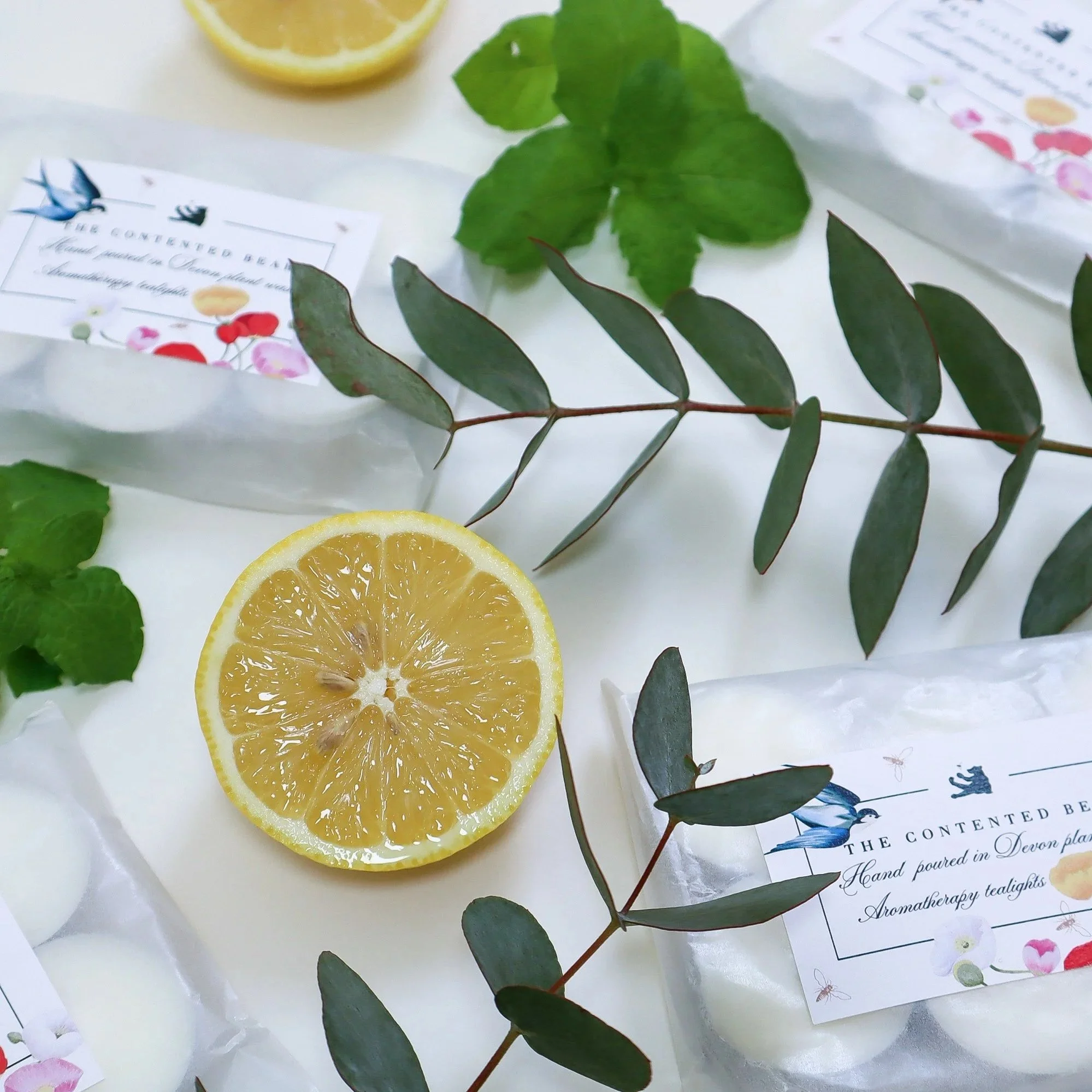 Aerial view of eucalyptus leaves, lemon halves, fresh mint sprigs dotted between glassine packets of six artisan tea lights.