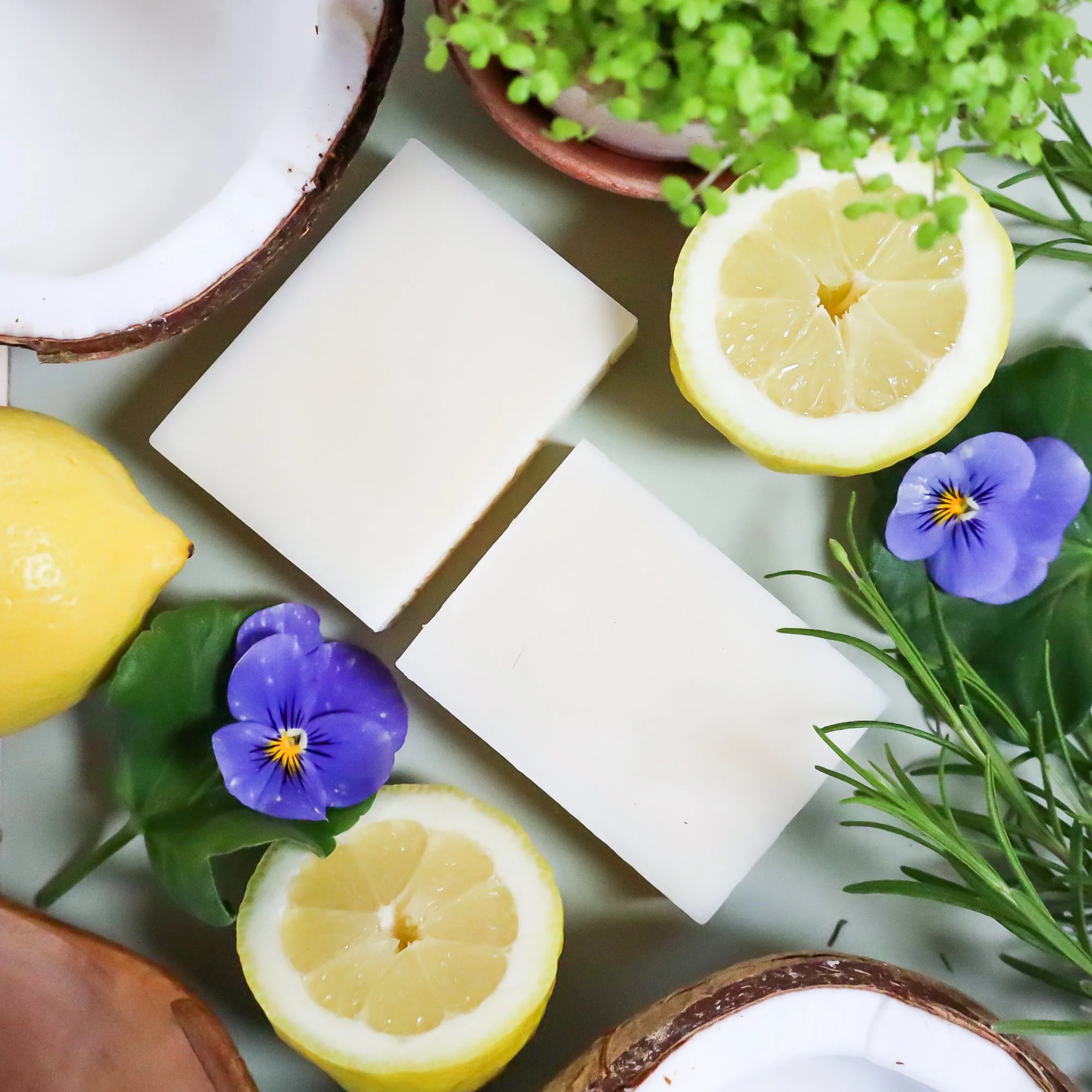 Flat lay of two hand made artisan soaps surrounded by foliage, flowers, terracotta pot and coconut halves.