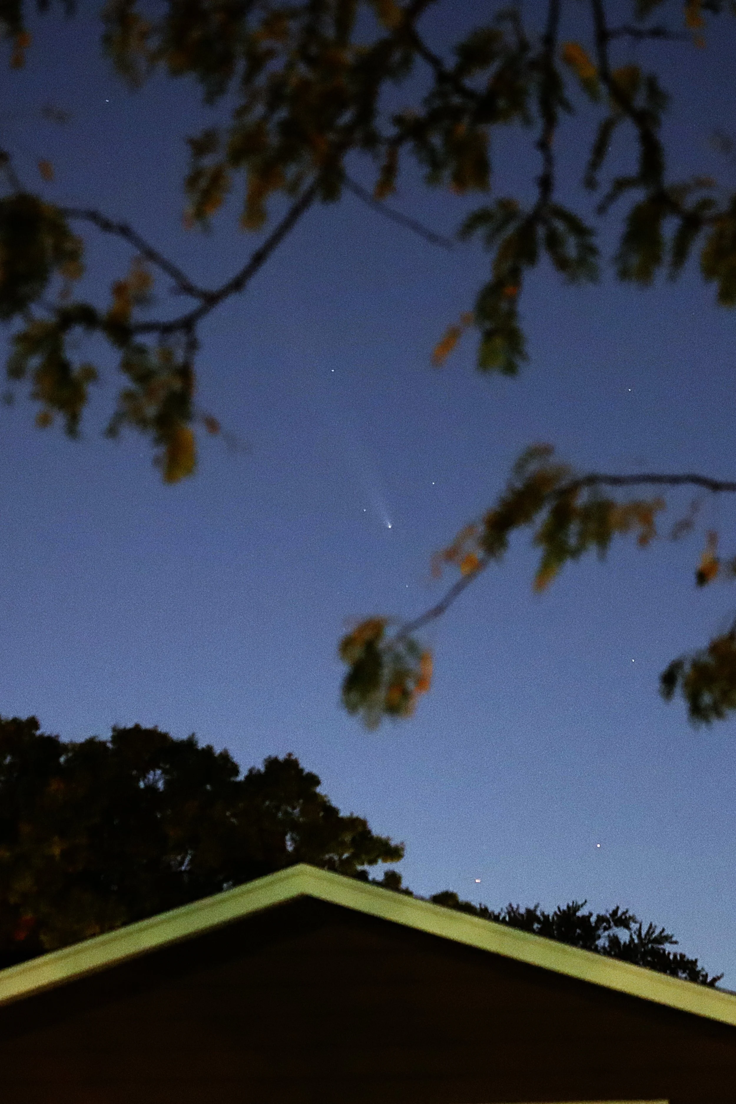 Comet C/2023 A3 (Tsuchinshan-ATLAS)